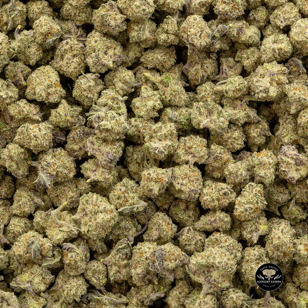 Buy Mac1 Bulk Popcorn At Elephant Garden Co Weed Dispensary