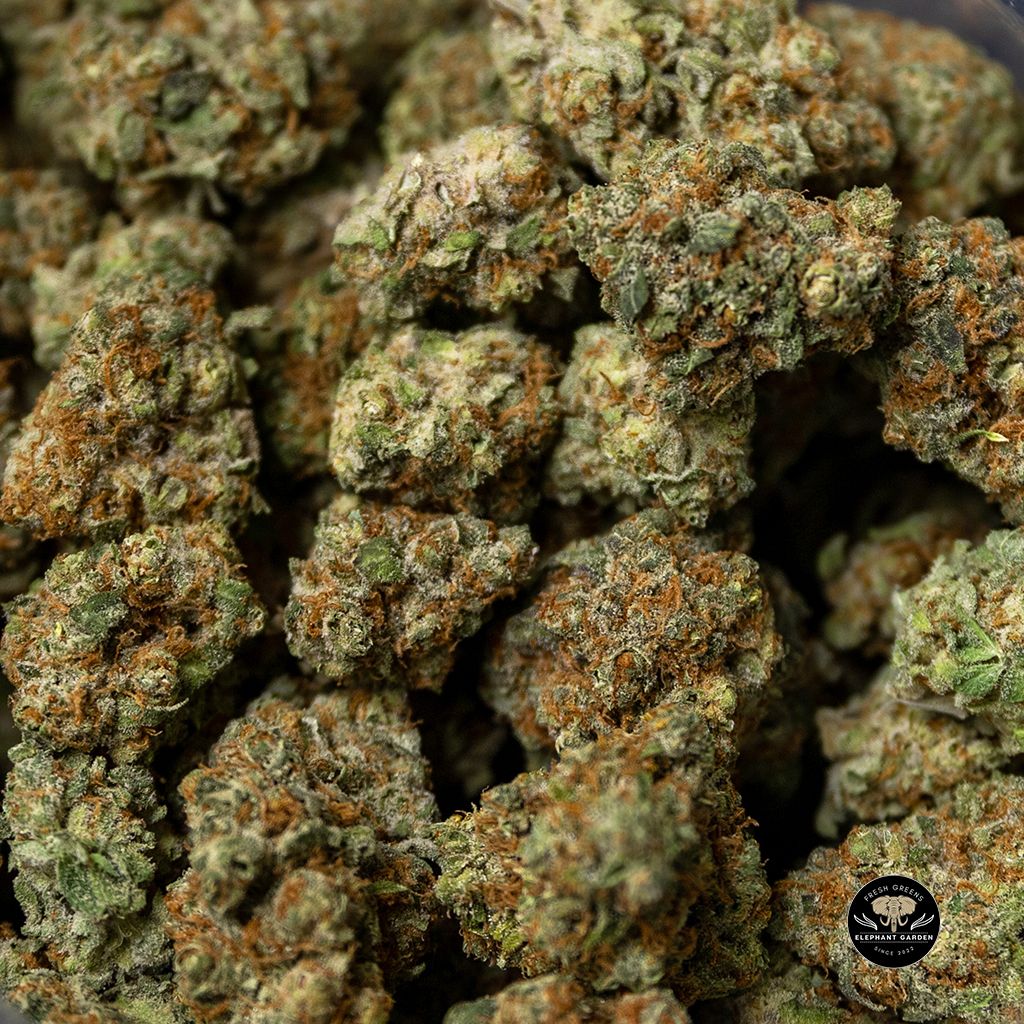 Buy Maverick Bulk At Elephant Garden Co Weed Dispensary
