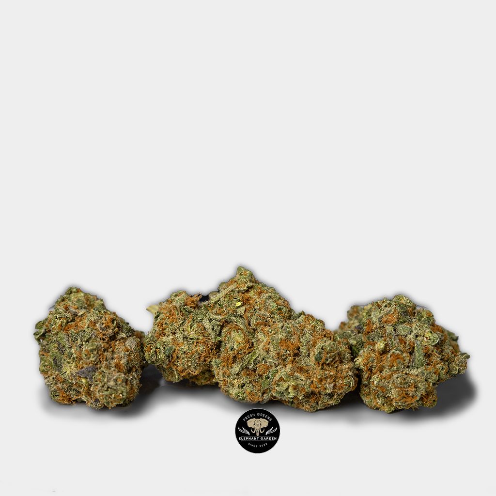 Buy Maverick Bundle 2 at Elephant Garden Co Weed Dispensary