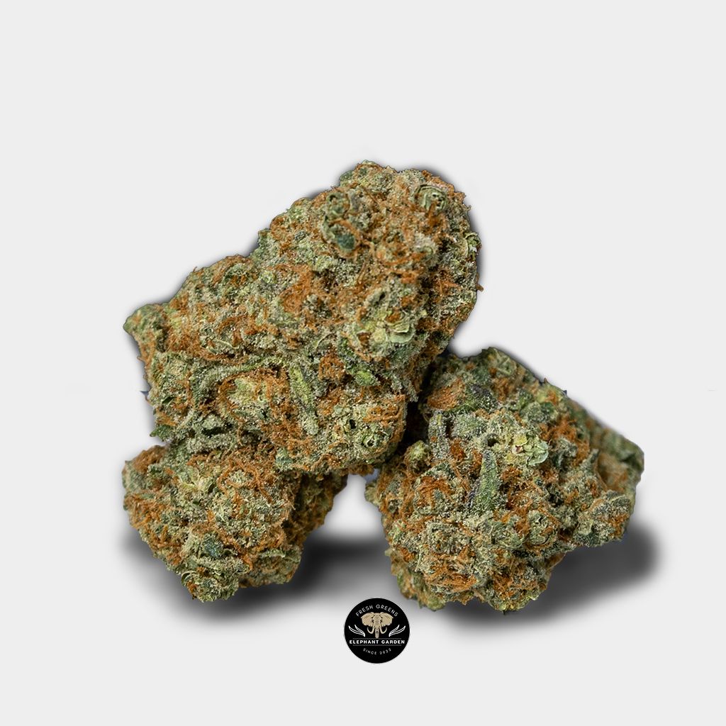 Buy Maverick at Elephant Garden Co Weed Dispensary Single 2
