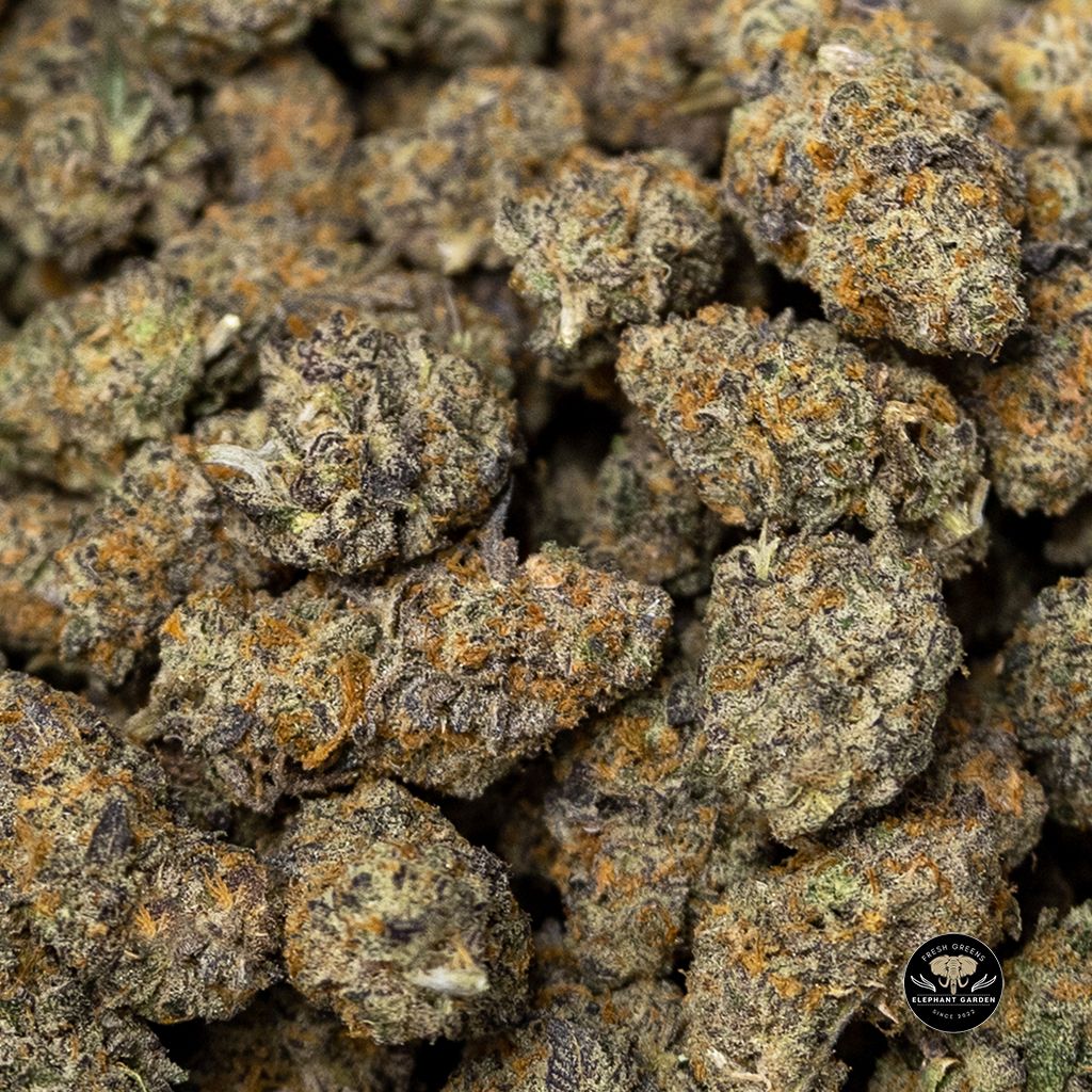 Buy Meat Breath Bulk At Elephant Garden Co Weed Dispensary 2