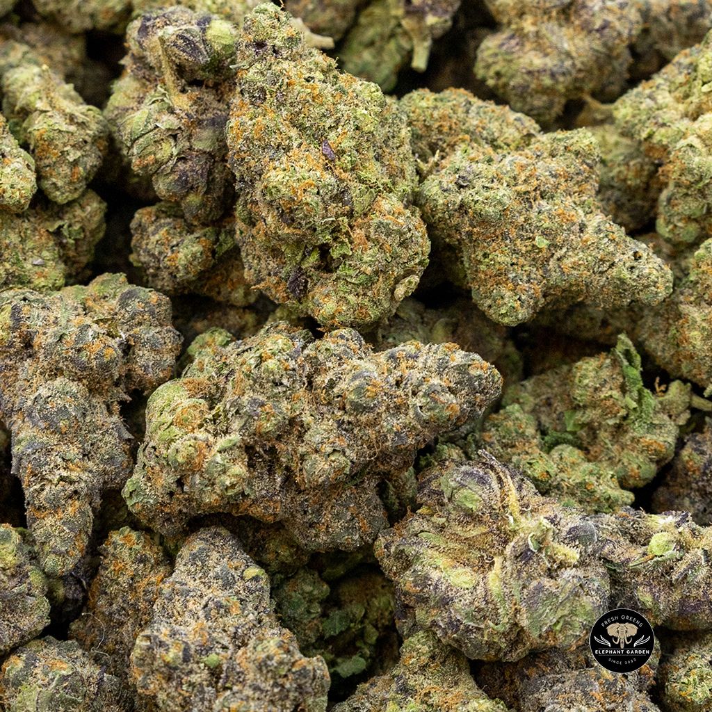 Buy Ya Hemi Bulk at Elephant Garden Co Weed Dispensary
