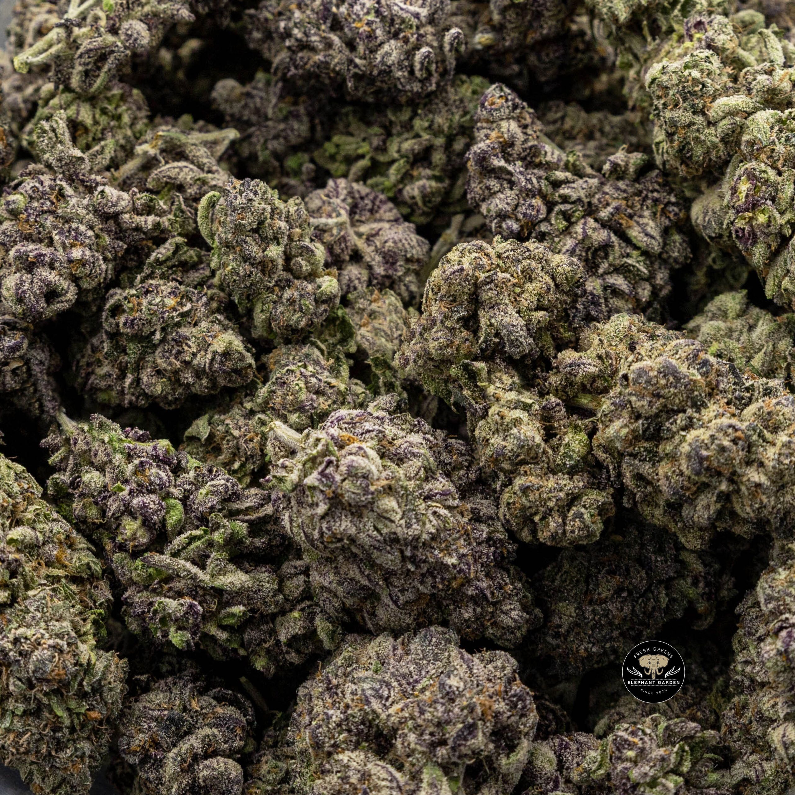 Candy Apple - Hybrid - AAAA - Image 3