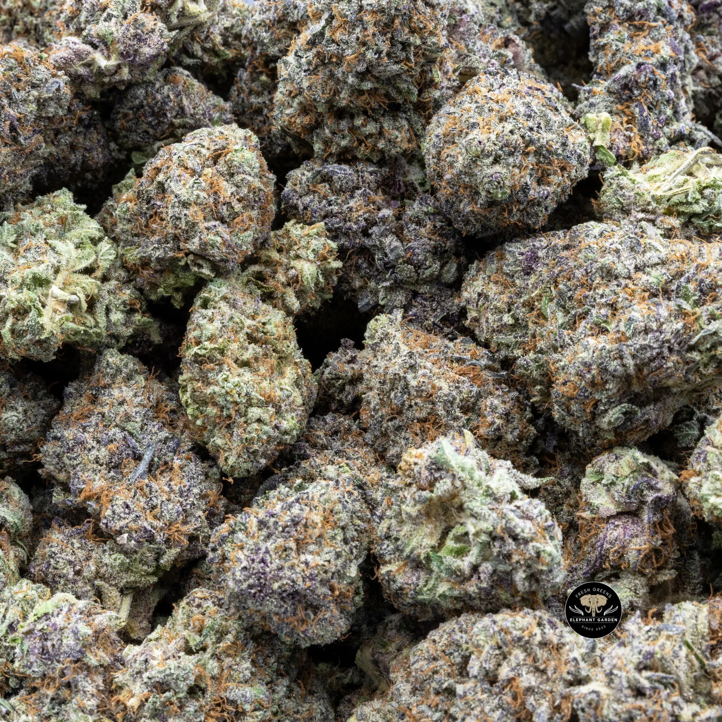 Buy God's Green Crack (Bulk) at Elephant Garden Co Weed Dispensary Bulk 8.10..2023