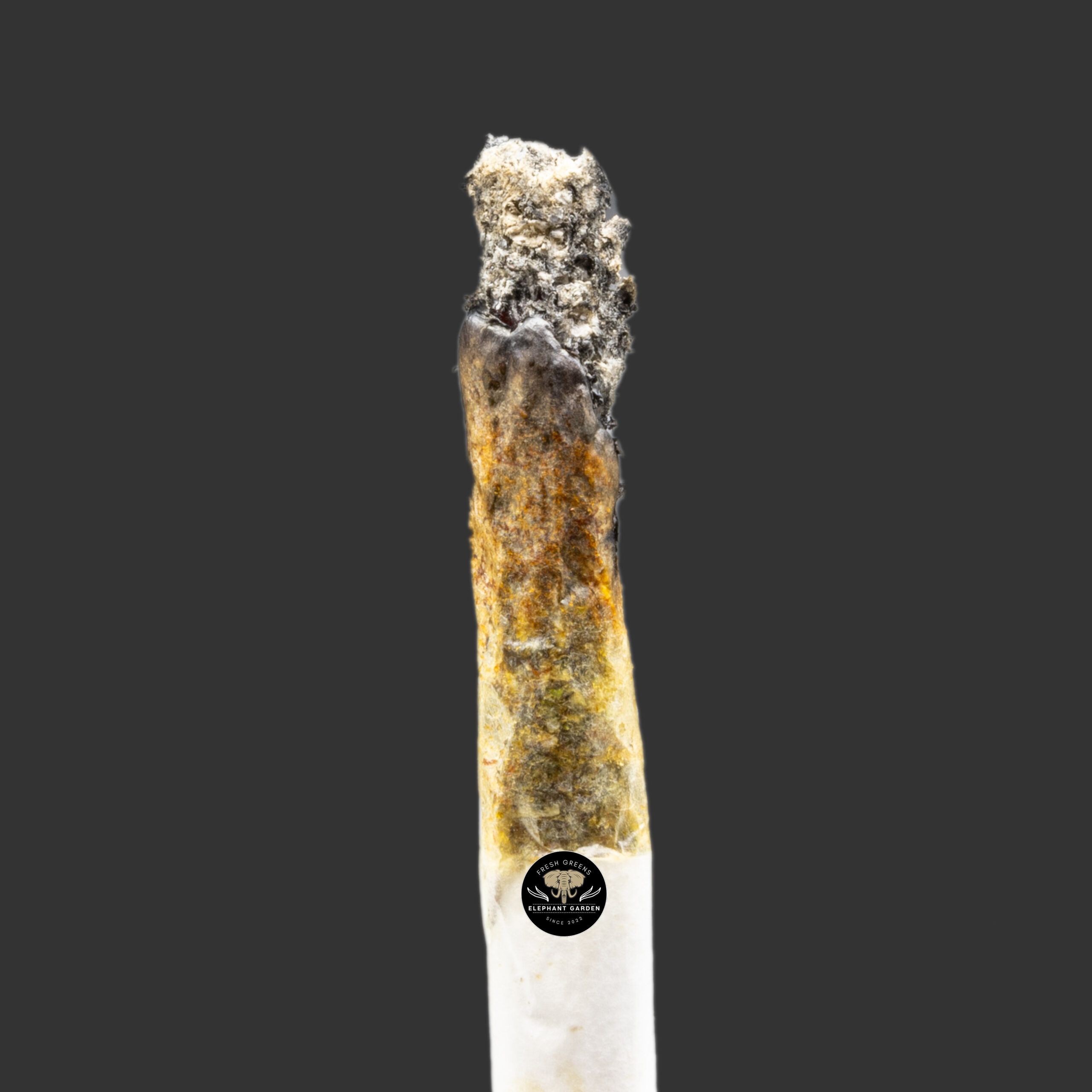 Buy Forbidden Fruit at Elephant Garden Co Weed Dispensary Burn Test 10_30_2023 2