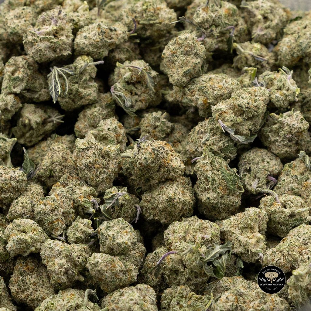 Buy Frosted Flake Popcorn at Elephant Garden Co Weed Dispensary Canada Online Bulk