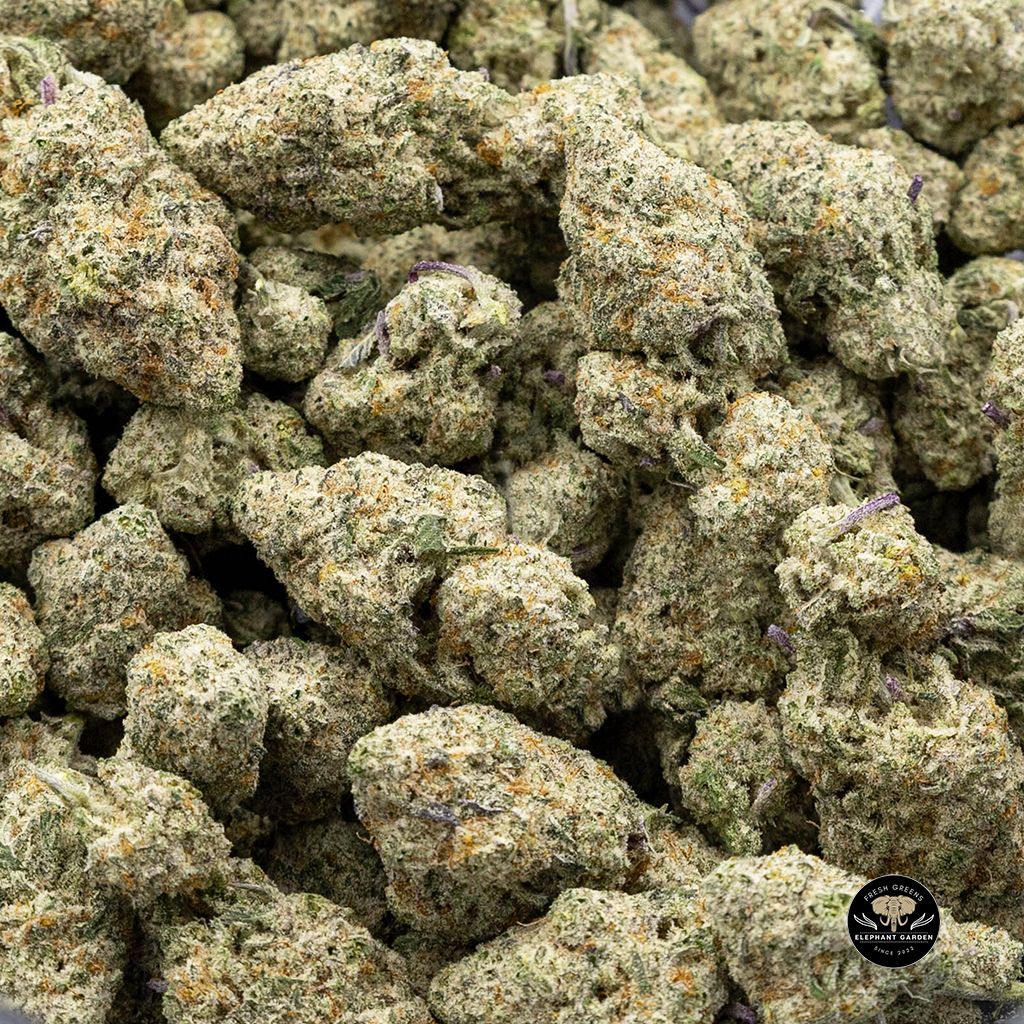 Buy Frosted Flake at Elephant Garden Co Weed Dispensary Canada Online Bulk