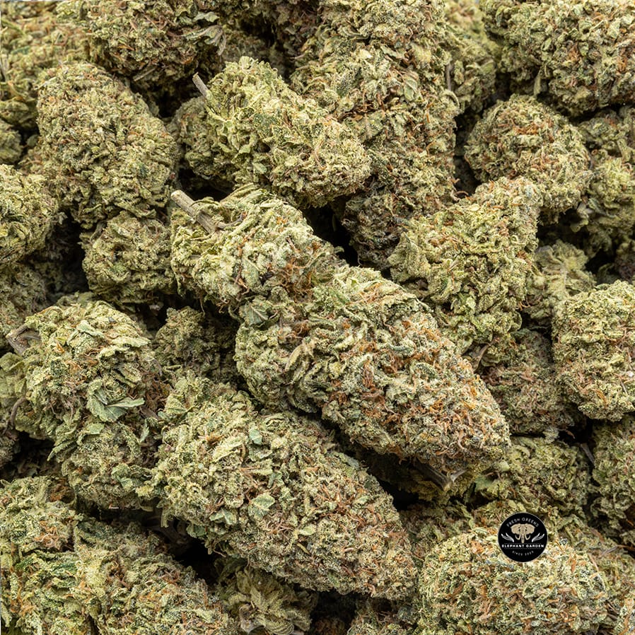 Buy Frozen Tangerine (Bulk) at Elephant Garden Co Weed Dispensary Bulk 12 28 2023