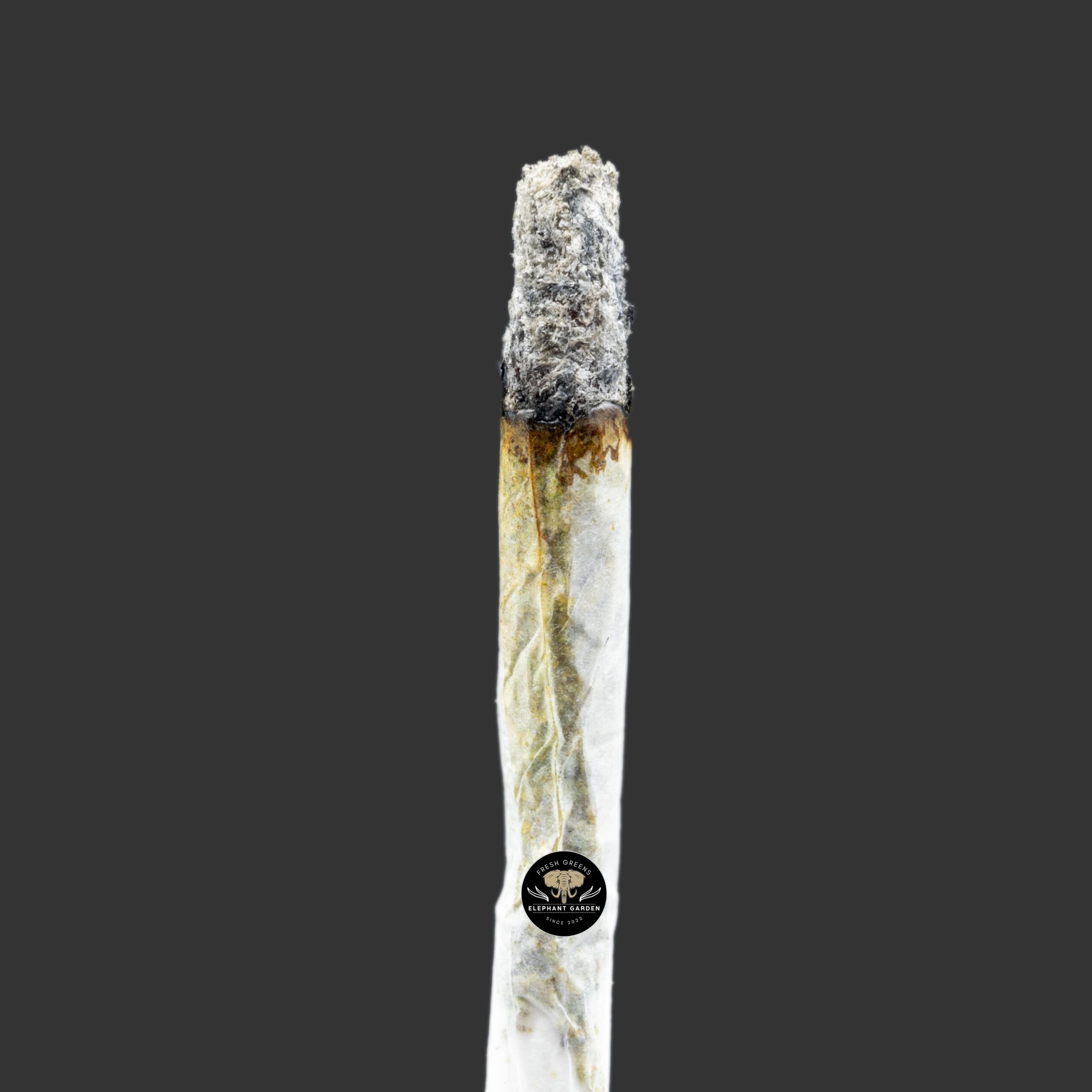 Buy Frozen Tangerine at Elephant Garden Co Weed Dispensary Burn Test 1 4 2024