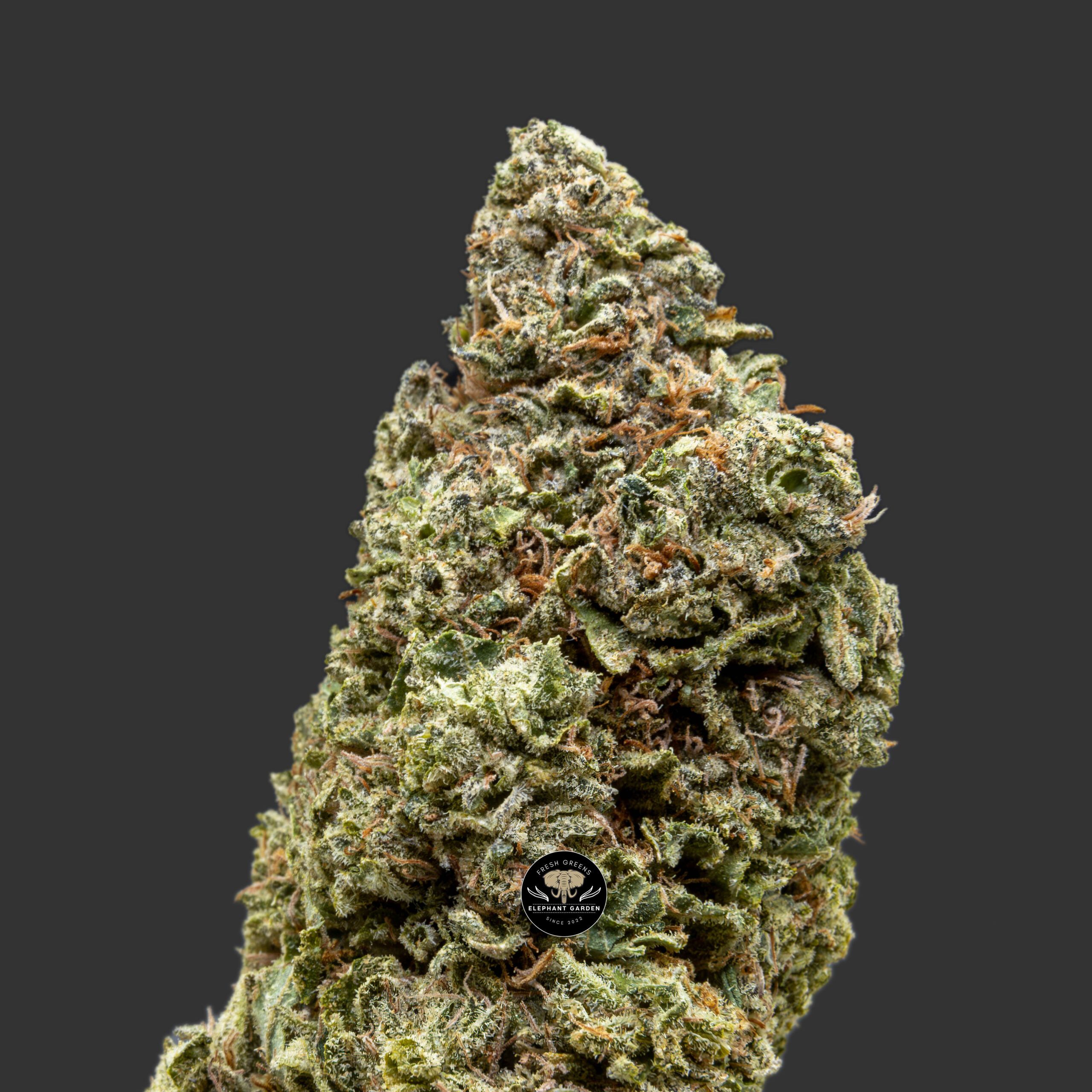 Buy Frozen Tangerine at Elephant Garden Co Weed Dispensary Close 1 4 2024