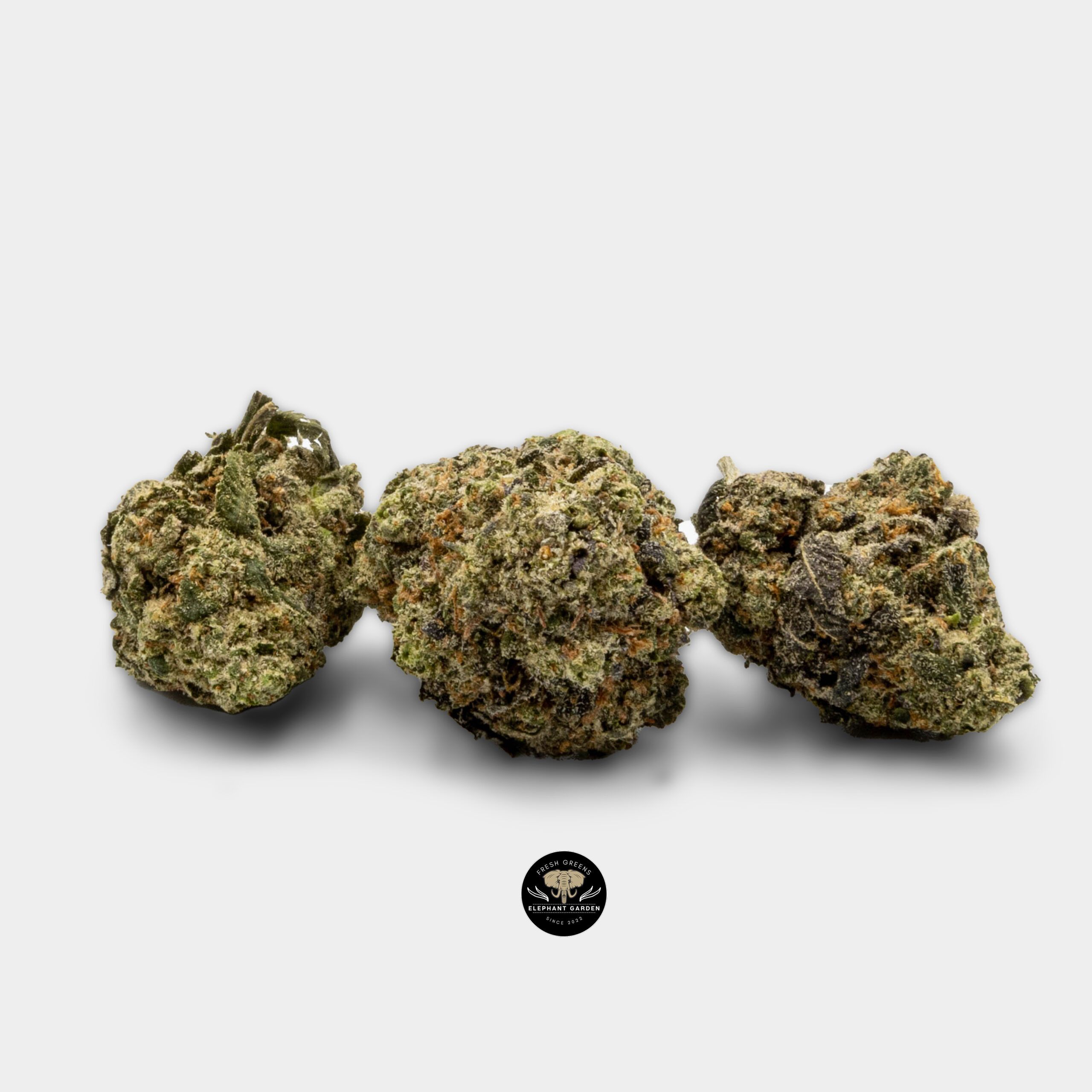 Funky Monkey - Indica - AAA