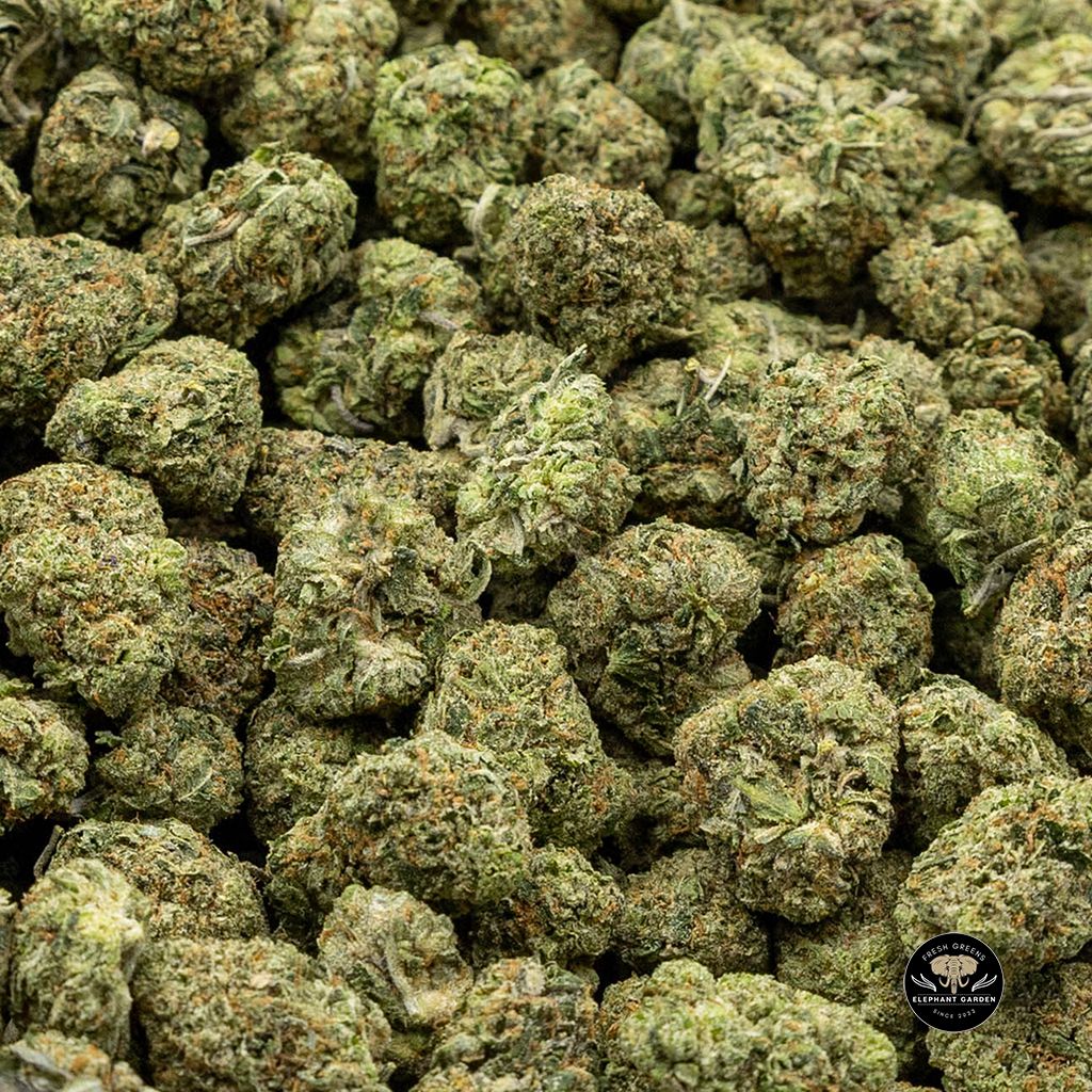Buy Godfather Popcorn at Elephant Garden Co Weed Dispensary Canada Online Bulk