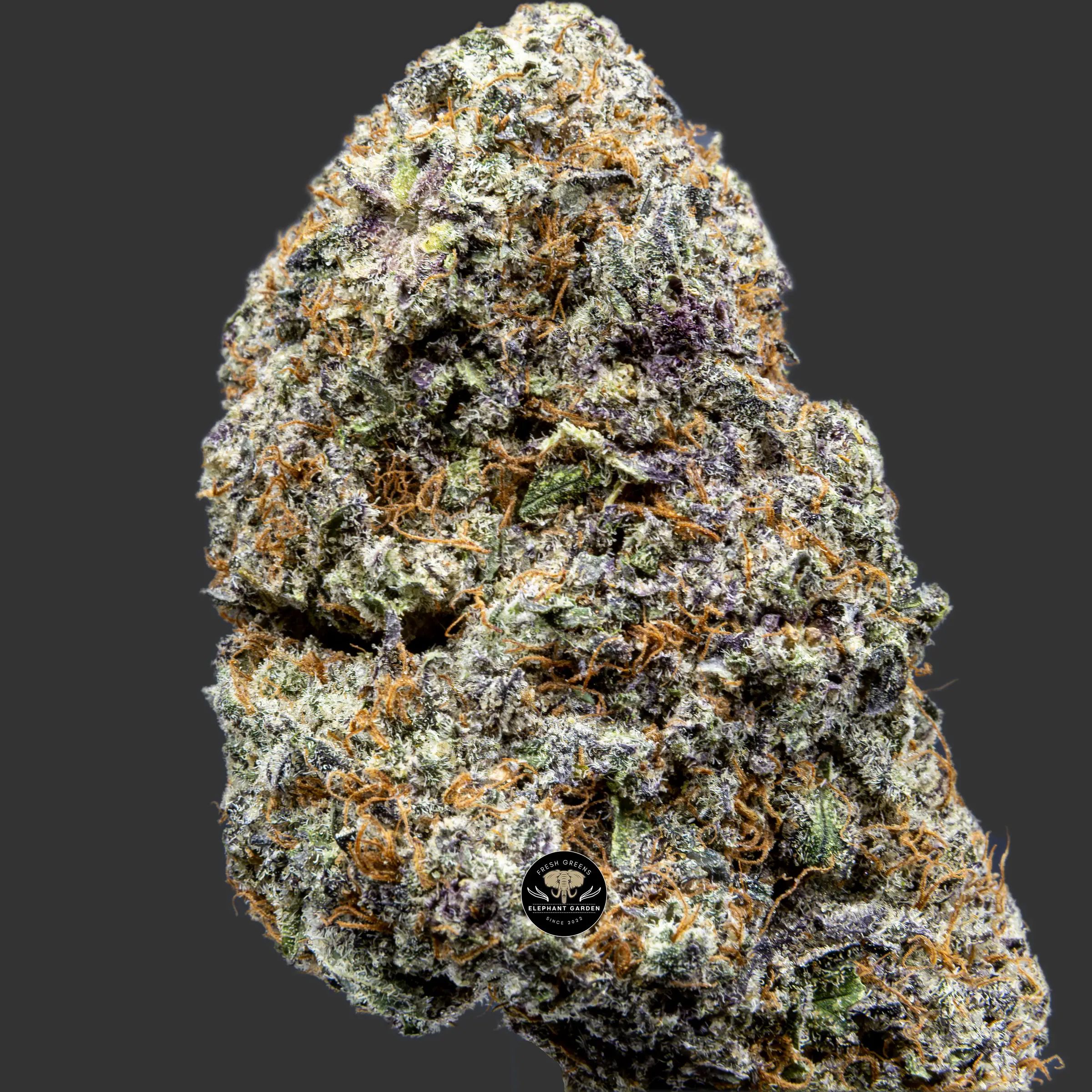 Buy God's Green Crack at Elephant Garden Co Weed Dispensary Close 8.17.2023