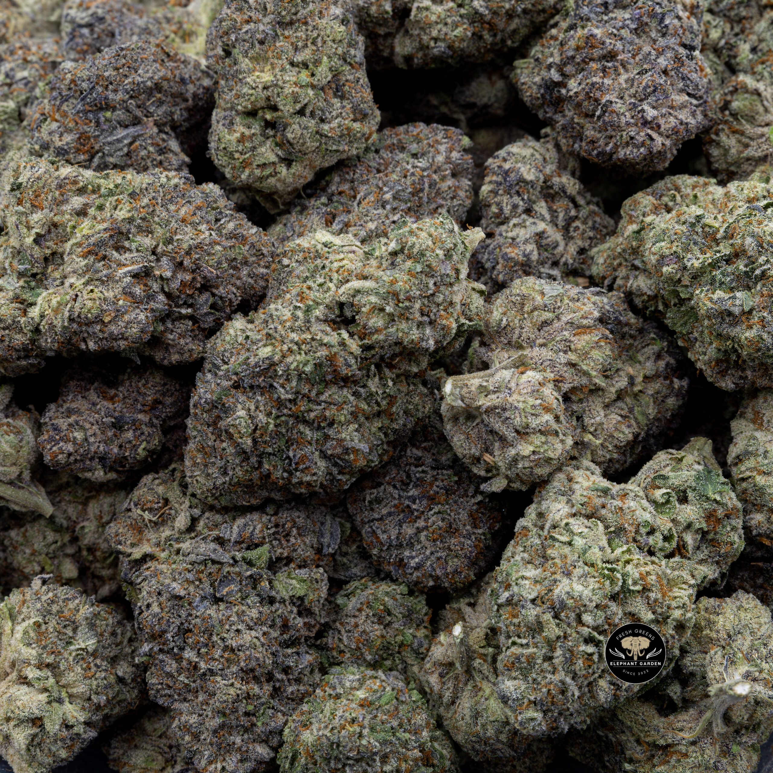 Buy Jokerz Candy (Bulk) at Elephant Garden Co Weed Dispensary Bulk 10_30_2023 3