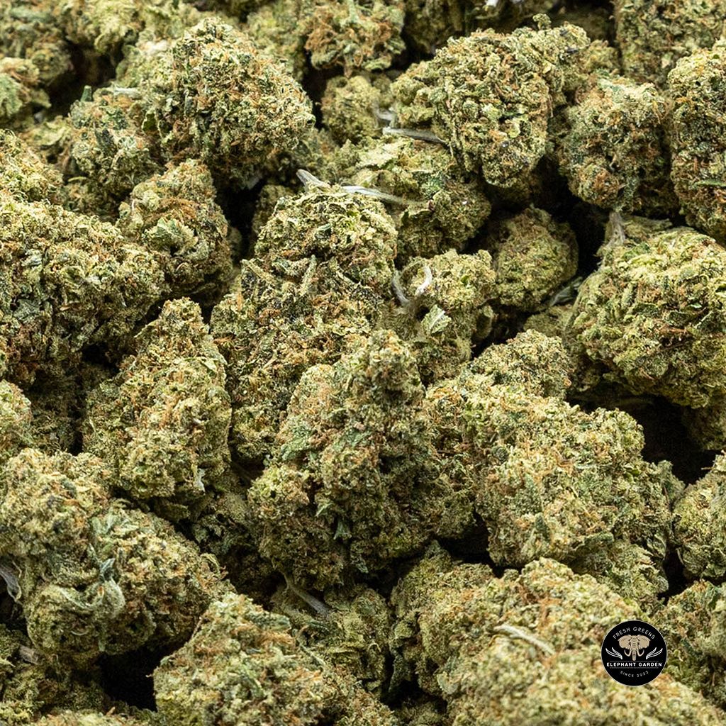 Buy Juicy Fruit at Elephant Garden Co Weed Dispensary Canada Online Bulk