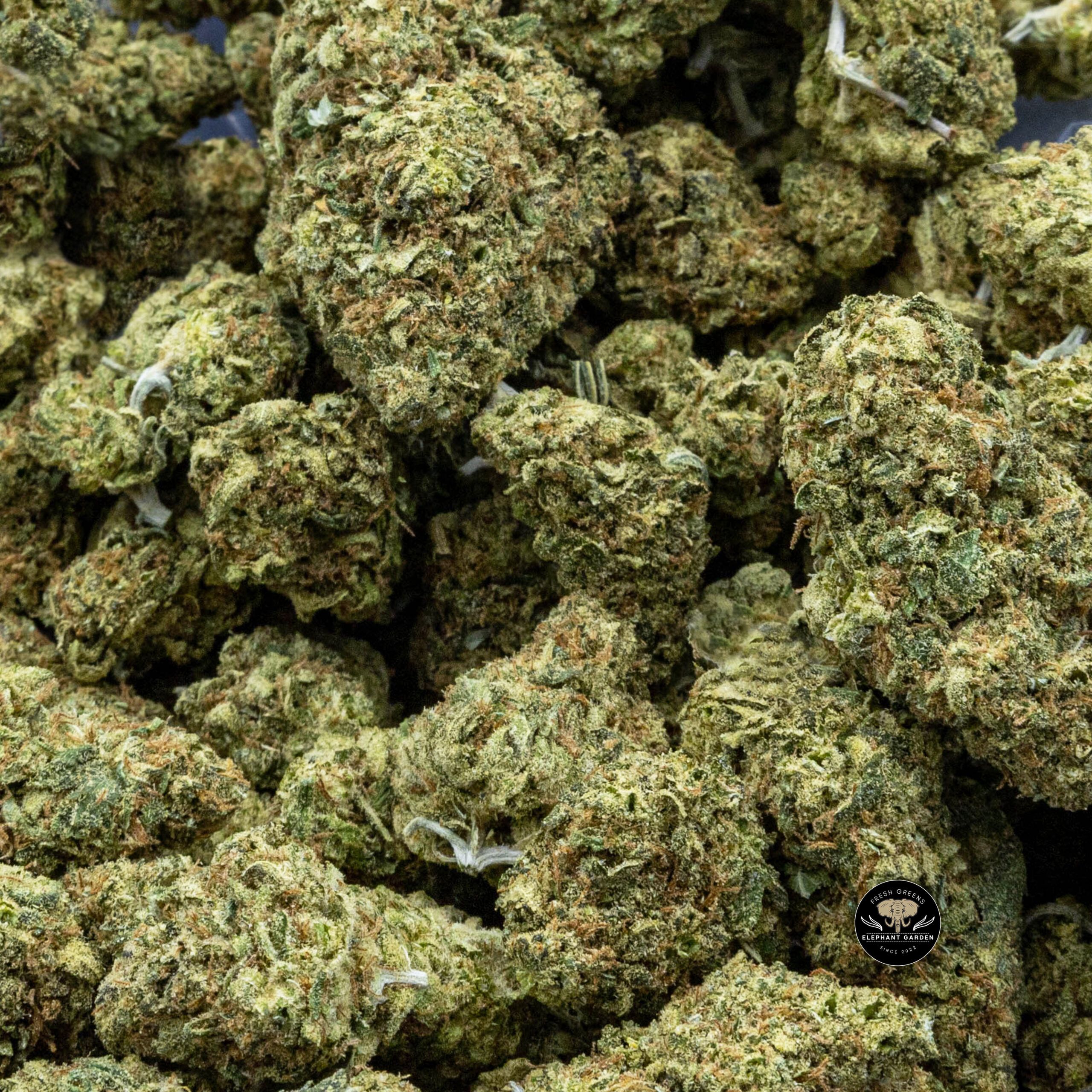 Juicyfruit (Bulk) - Indica - AAA