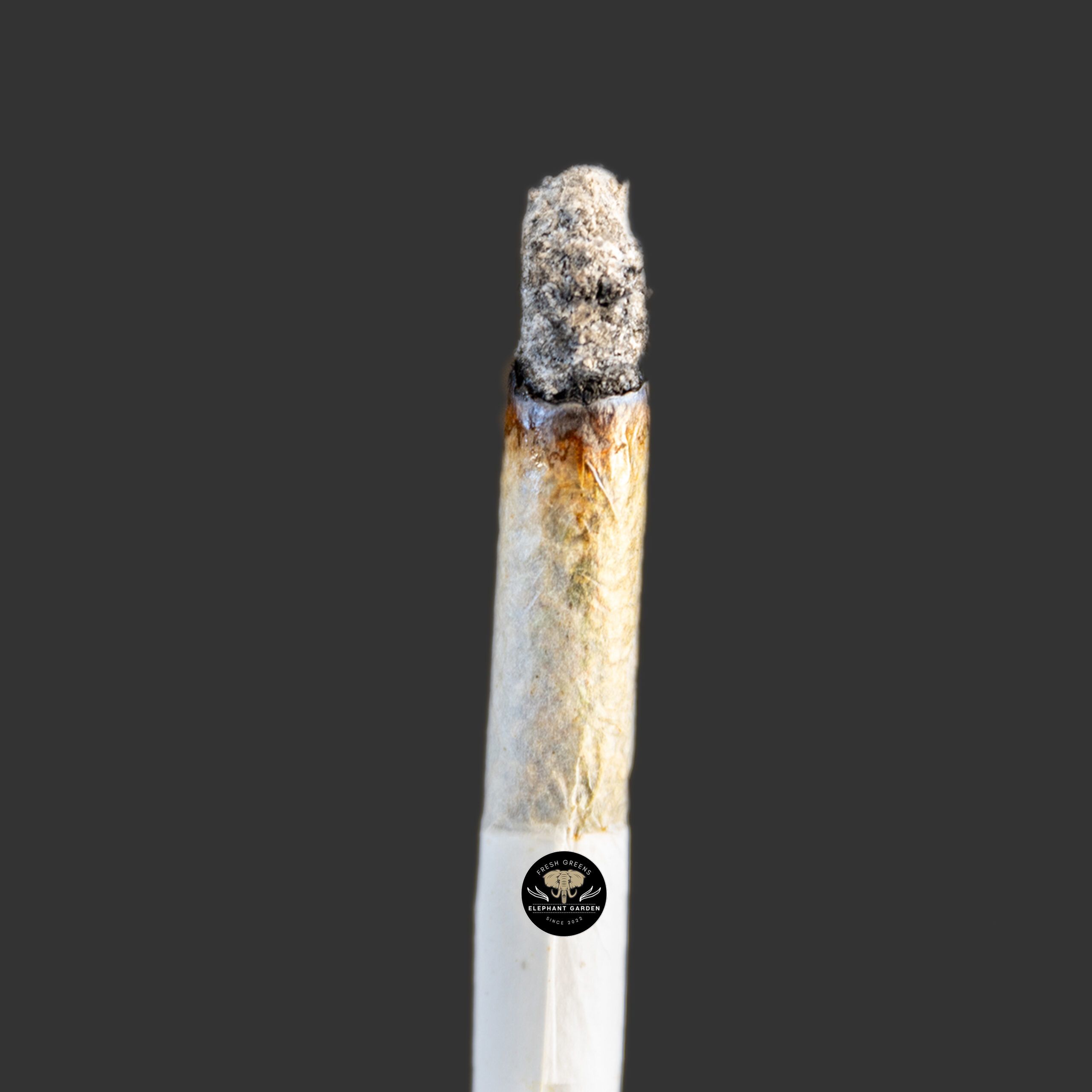 Buy Mac 1 at Elephant Garden Co Weed Dispensary Burn Test 7.20.2023