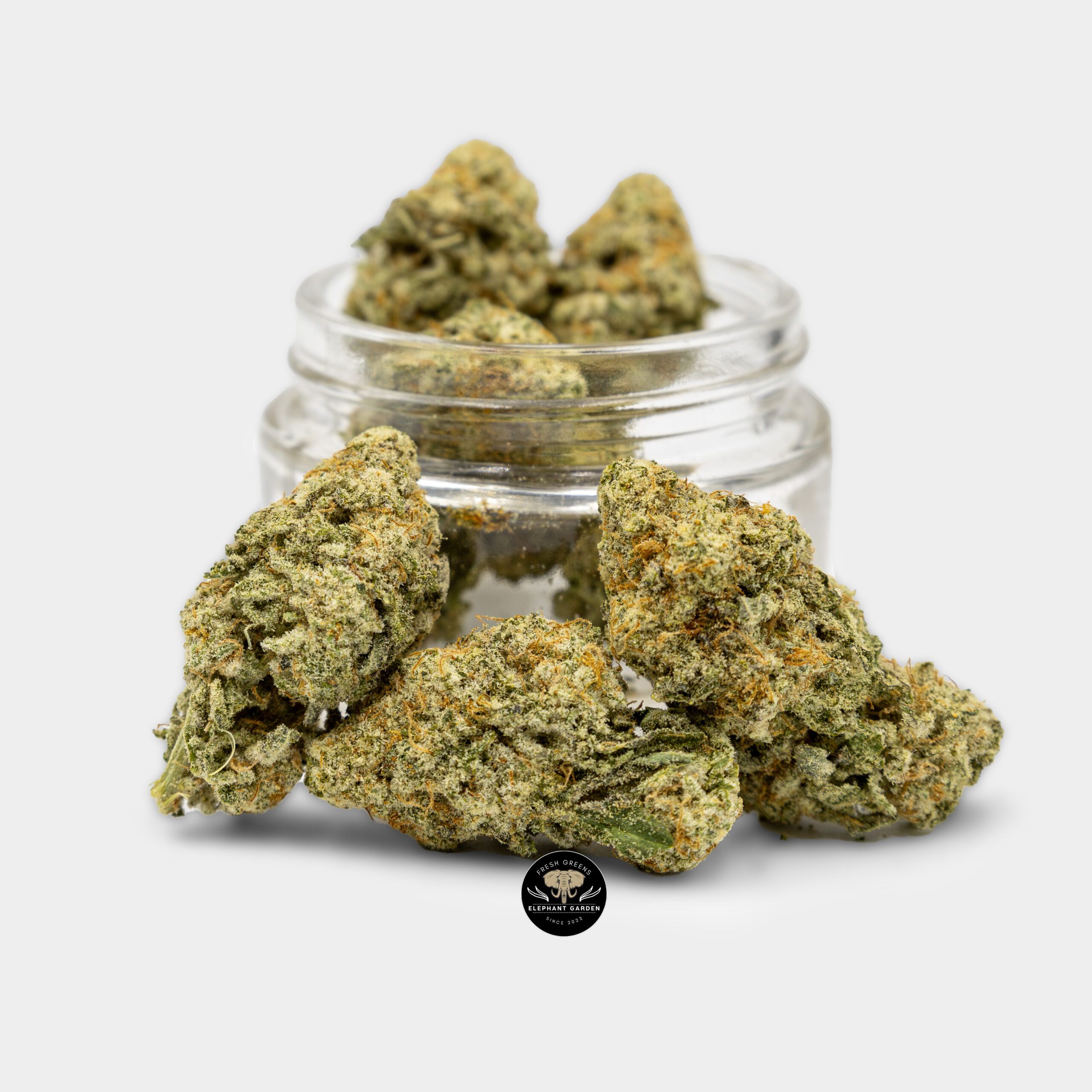 Buy Mac1 at Elephant Garden Co Weed Dispensary Bundle 7.20.2023