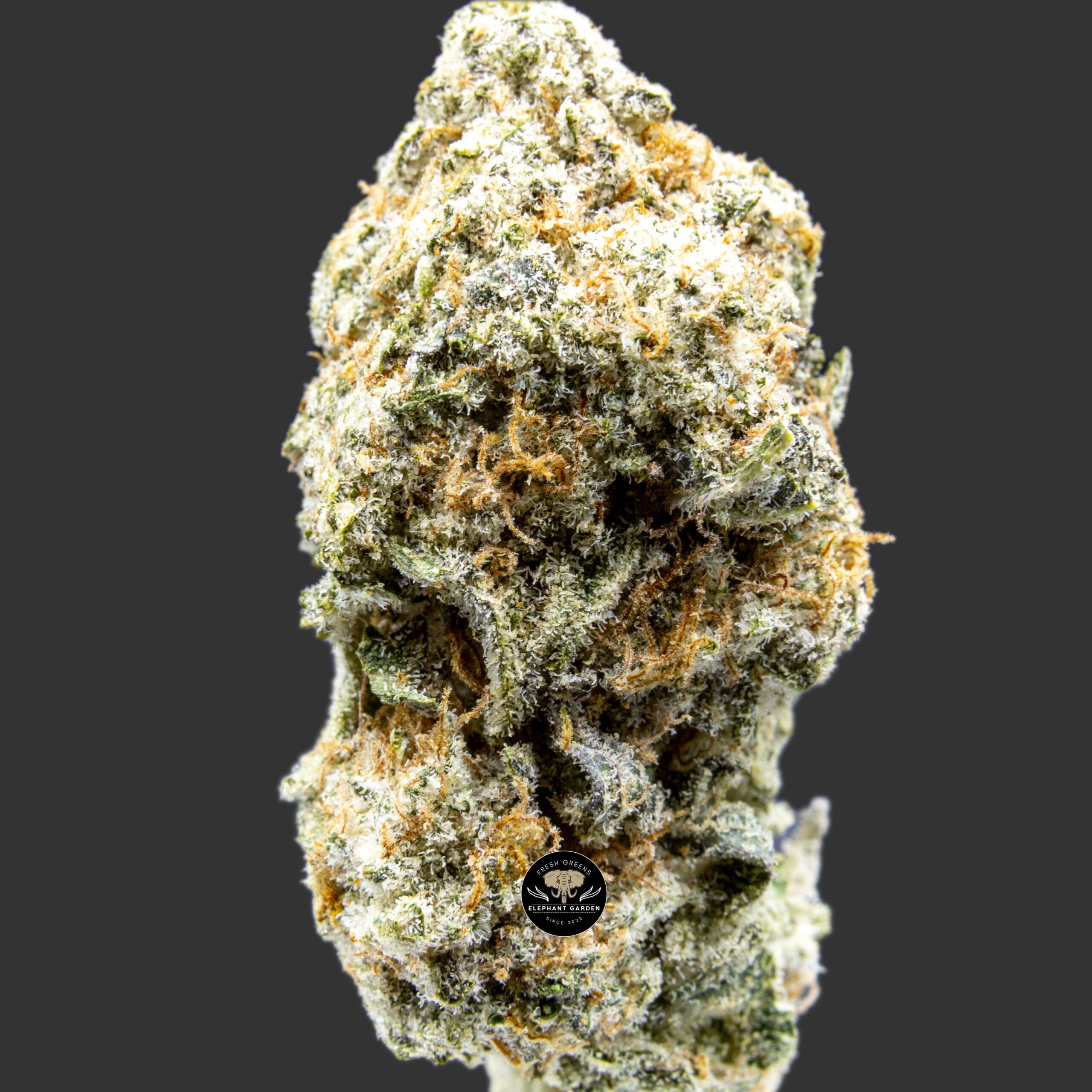 Buy Mac1 at Elephant Garden Co Weed Dispensary Close 7.20.2023 Email