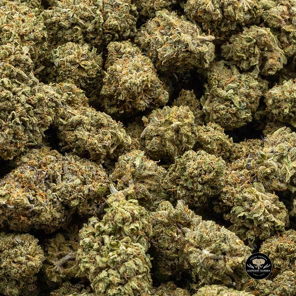 Buy Micky Kush at Elephant Garden Co Weed Dispensary Canada Online Bulk 2