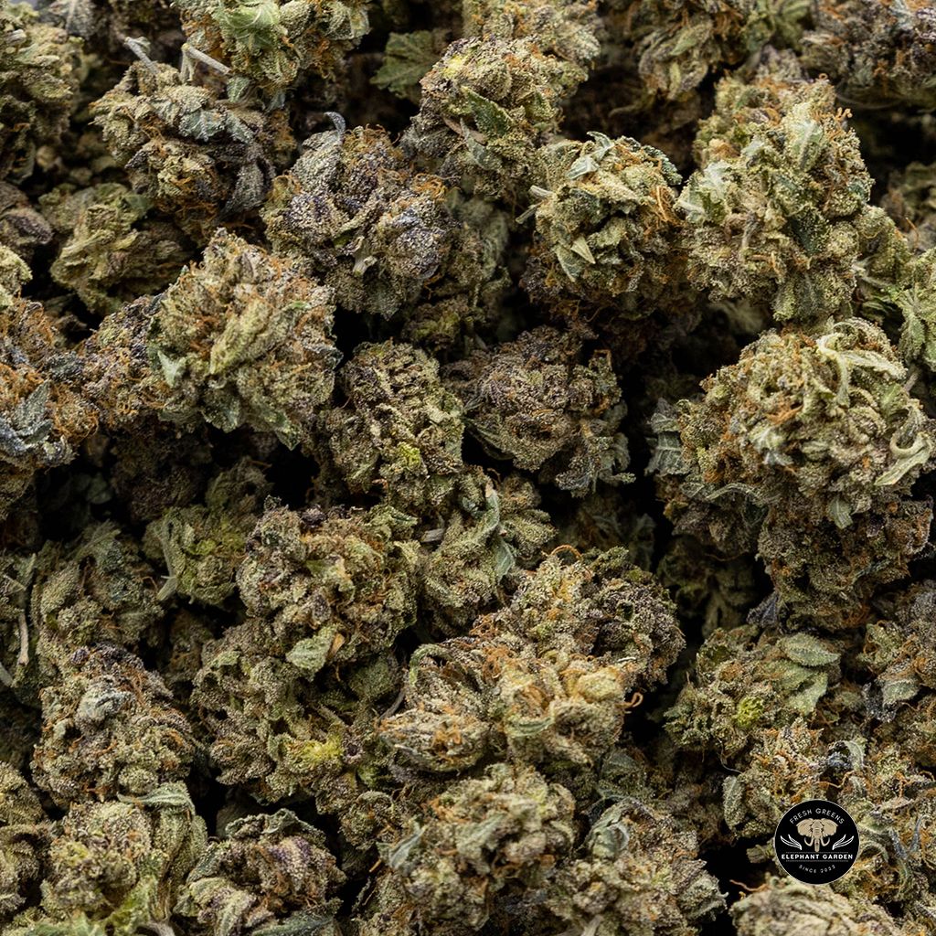 Buy Purple Tuna Bulk at Elephant Garden Co Weed Dispensary