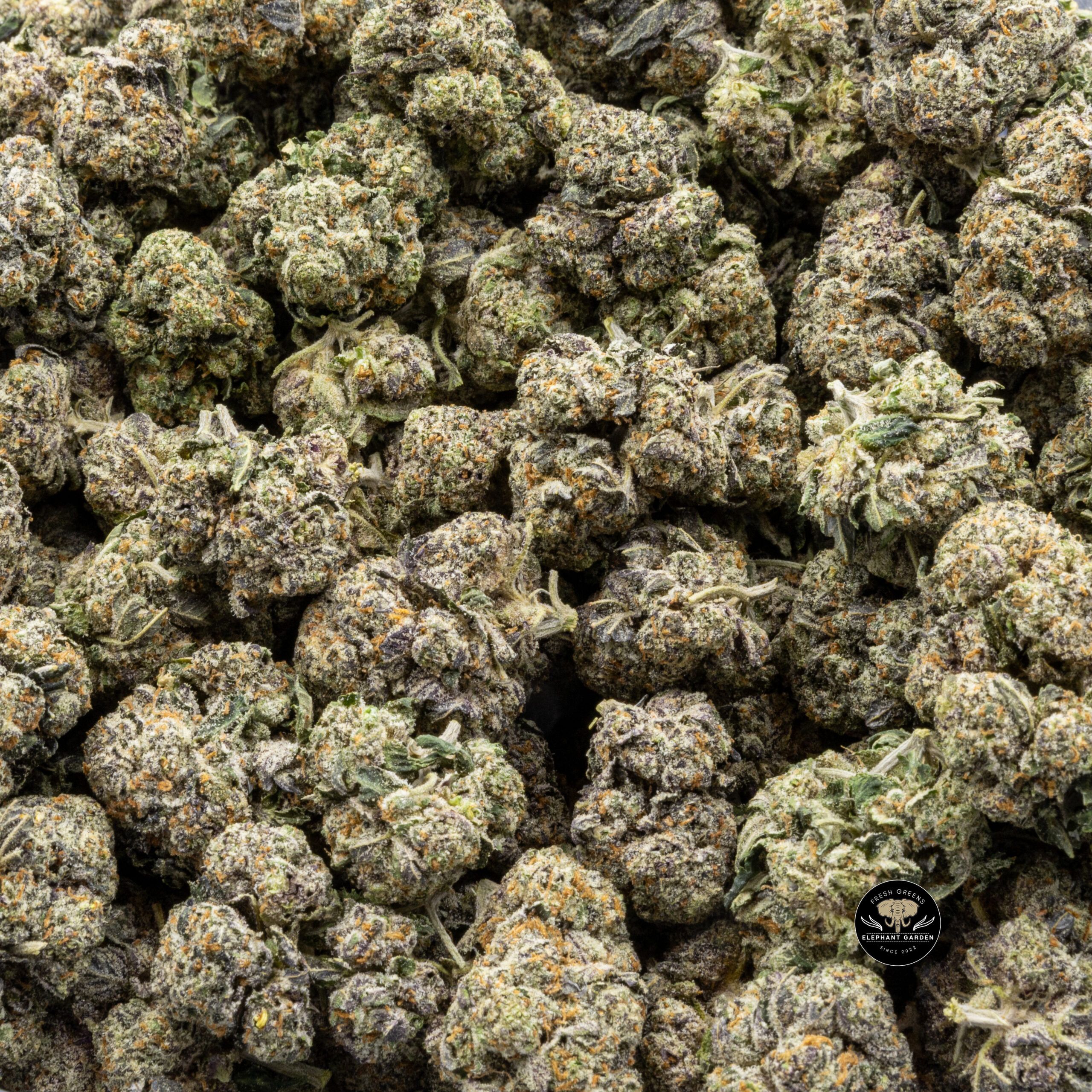 Buy Red Poison (Bulk) at Elephant Garden Co Weed Dispensary Bulk 7.14.2023