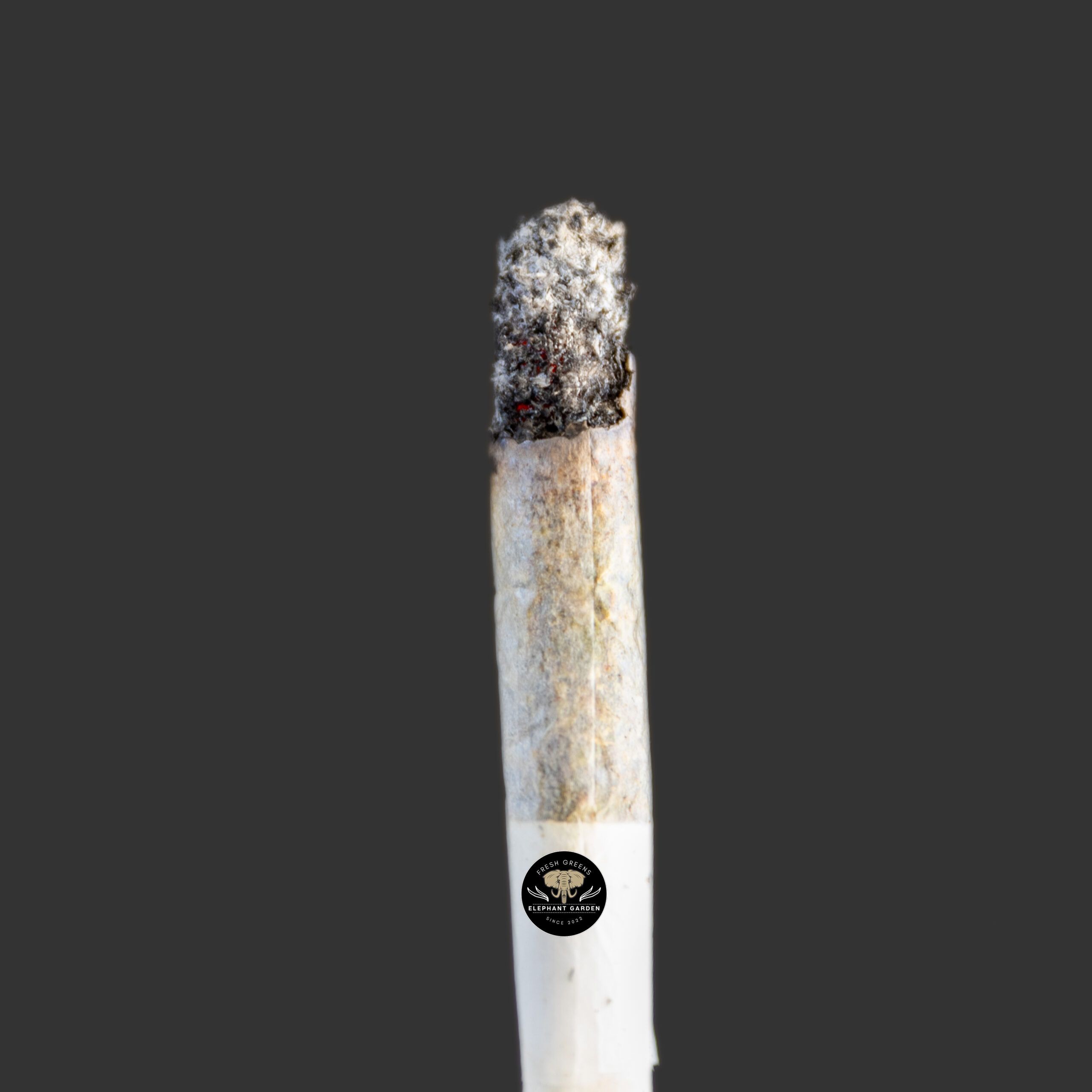 Buy Red Poison at Elephant Garden Co Weed Dispensary Burn Test 7.20.2023