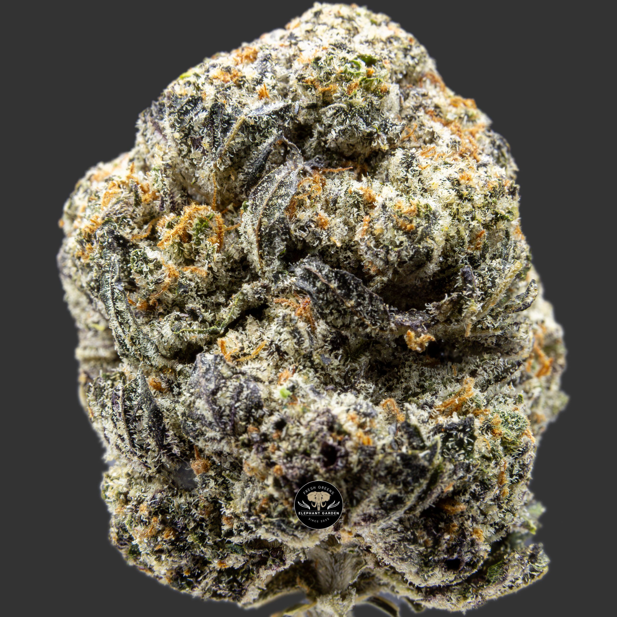 Buy Red Poison at Elephant Garden Co Weed Dispensary Close 7.20.2023 Email