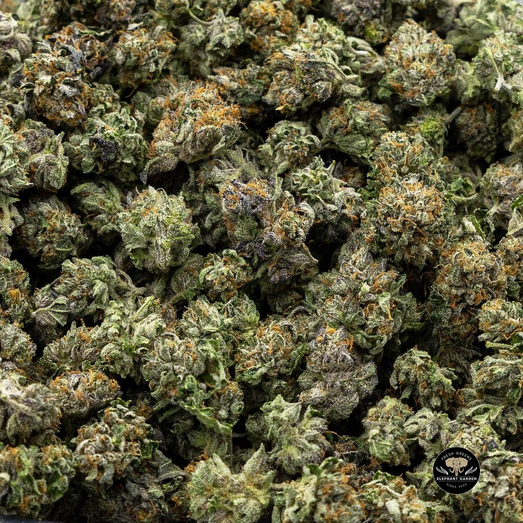 Buy Rockstar Popcorn 3.4.2023 New Batch Bulk at Elephant Garden Co Weed Dispensary Online