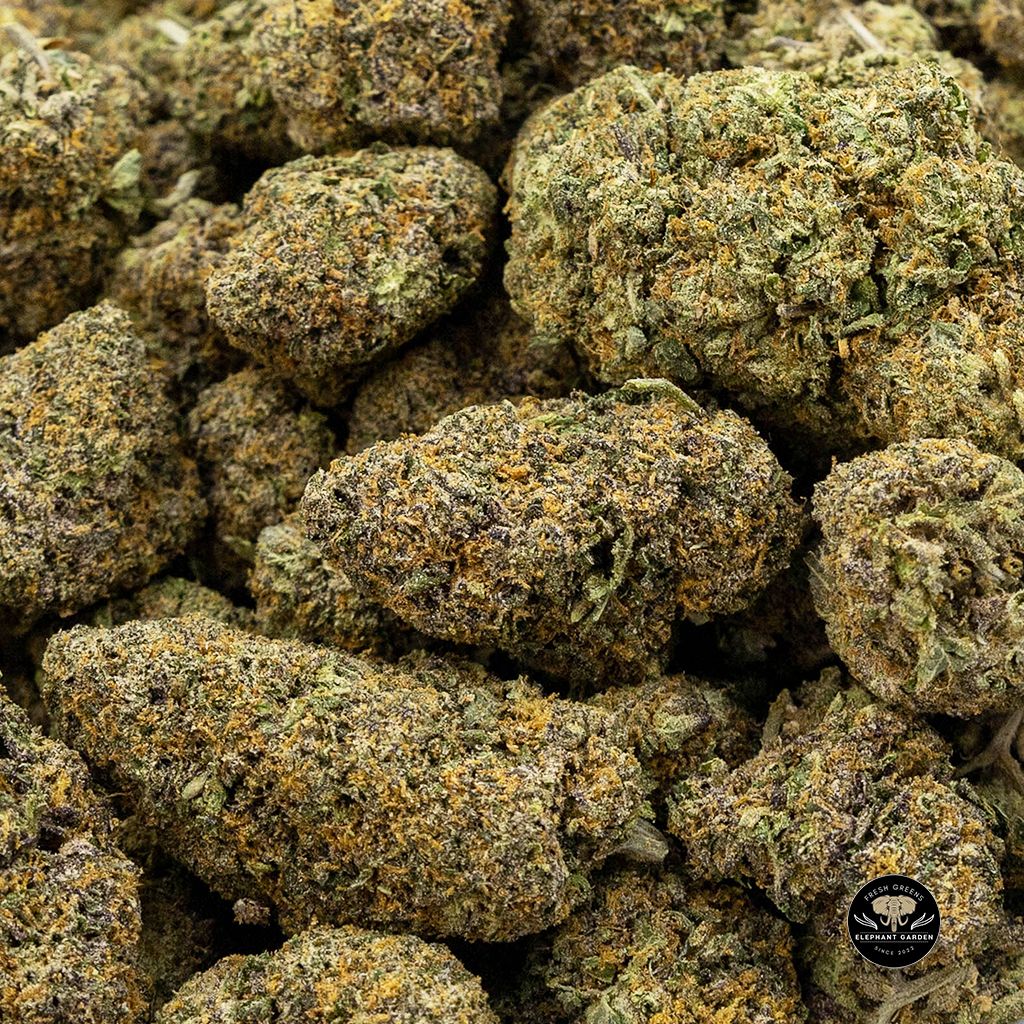 Buy Runtz at Elephant Garden Co Weed Dispensary Online