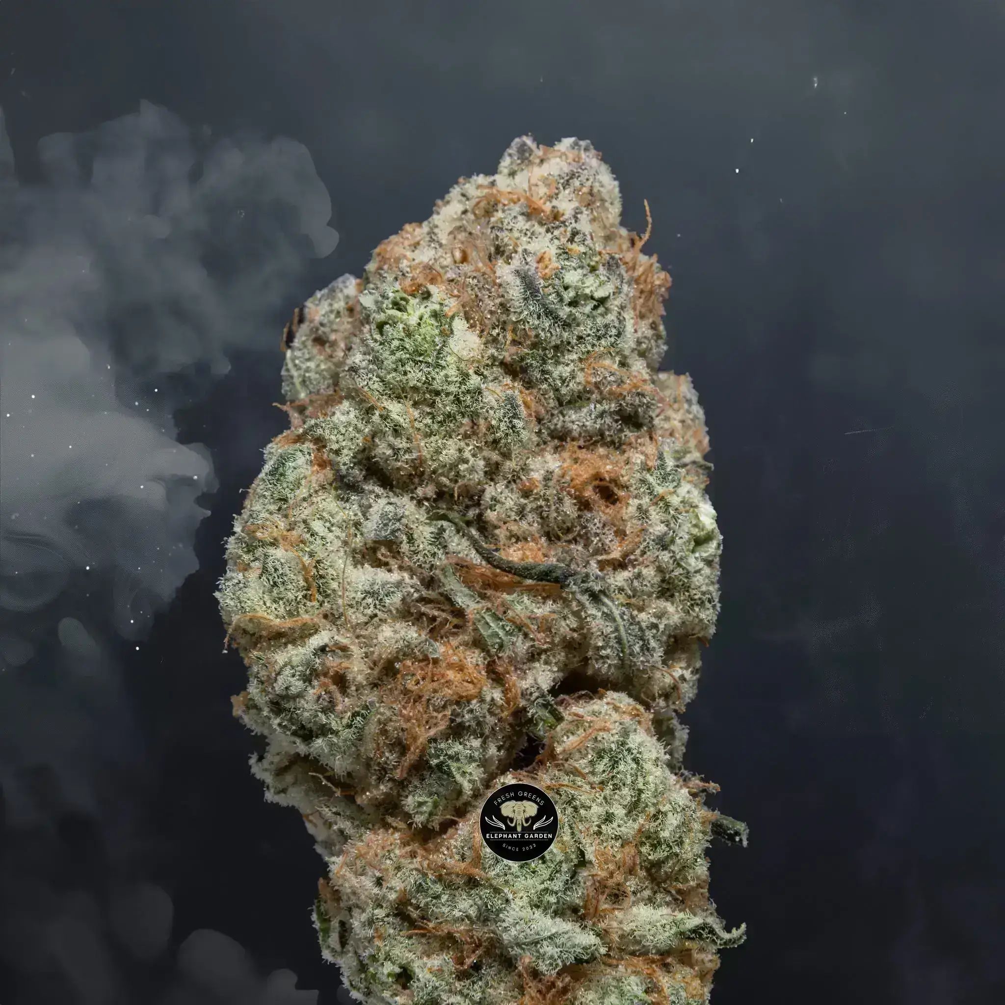 Buy Skunk Berry at Elephant Garden Co Weed Dispensary Close 8 7 24 2