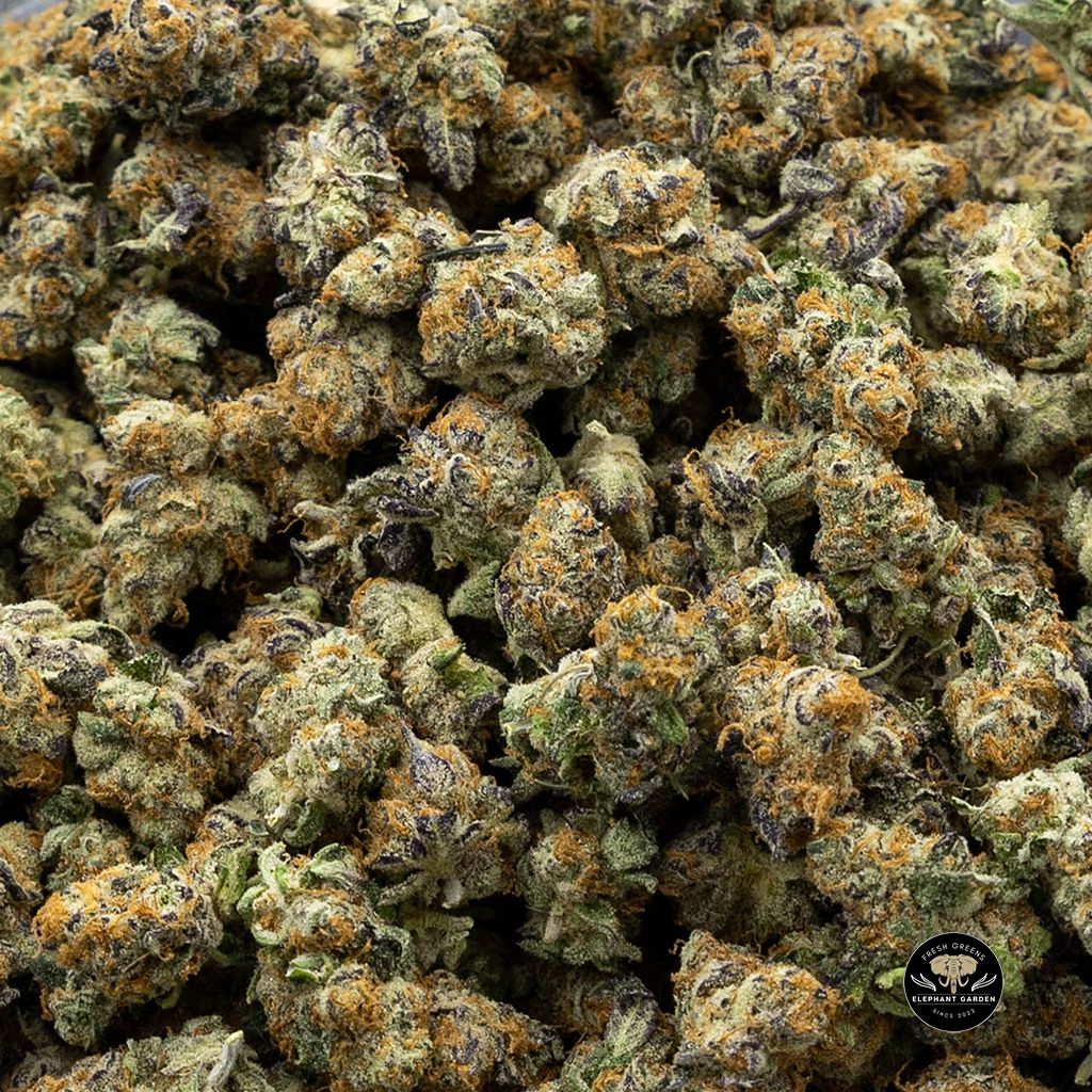 Buy Skunkberry Popcorn at Elephant Garden Co Weed Dispensary Canada Online Bulk
