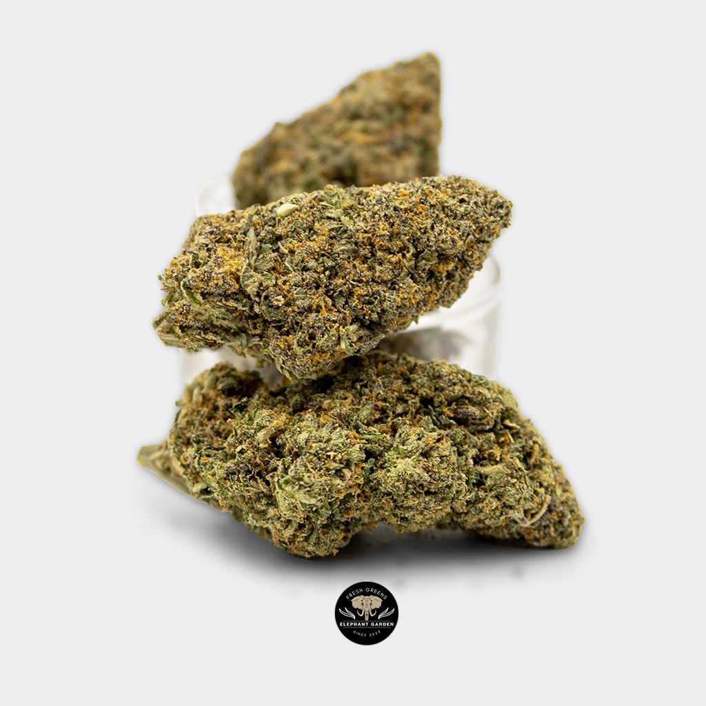 Buy Space Runtz at Elephant Garden Co Weed Dispensary Bundle 3