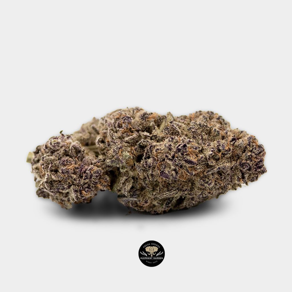 Buy xhale at Elephant Garden Co Weed Dispensary Canada Online Single