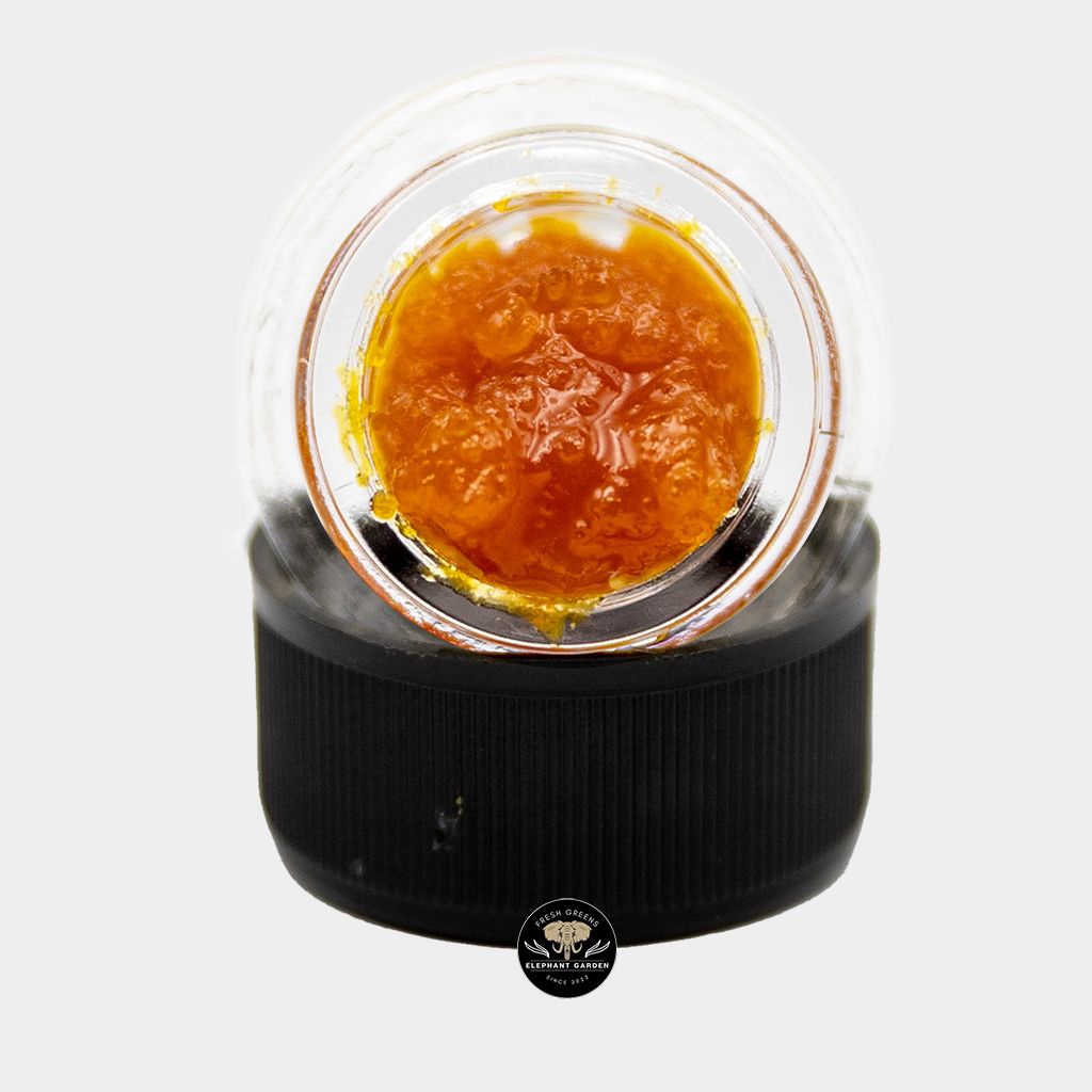 Animal Gas - Hybrid - Caviar