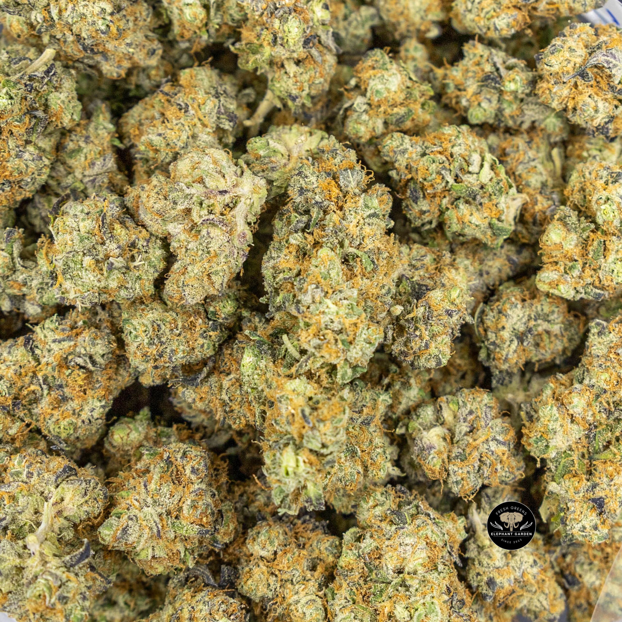 Garlic Breath - Hybrid - AAA - Image 5