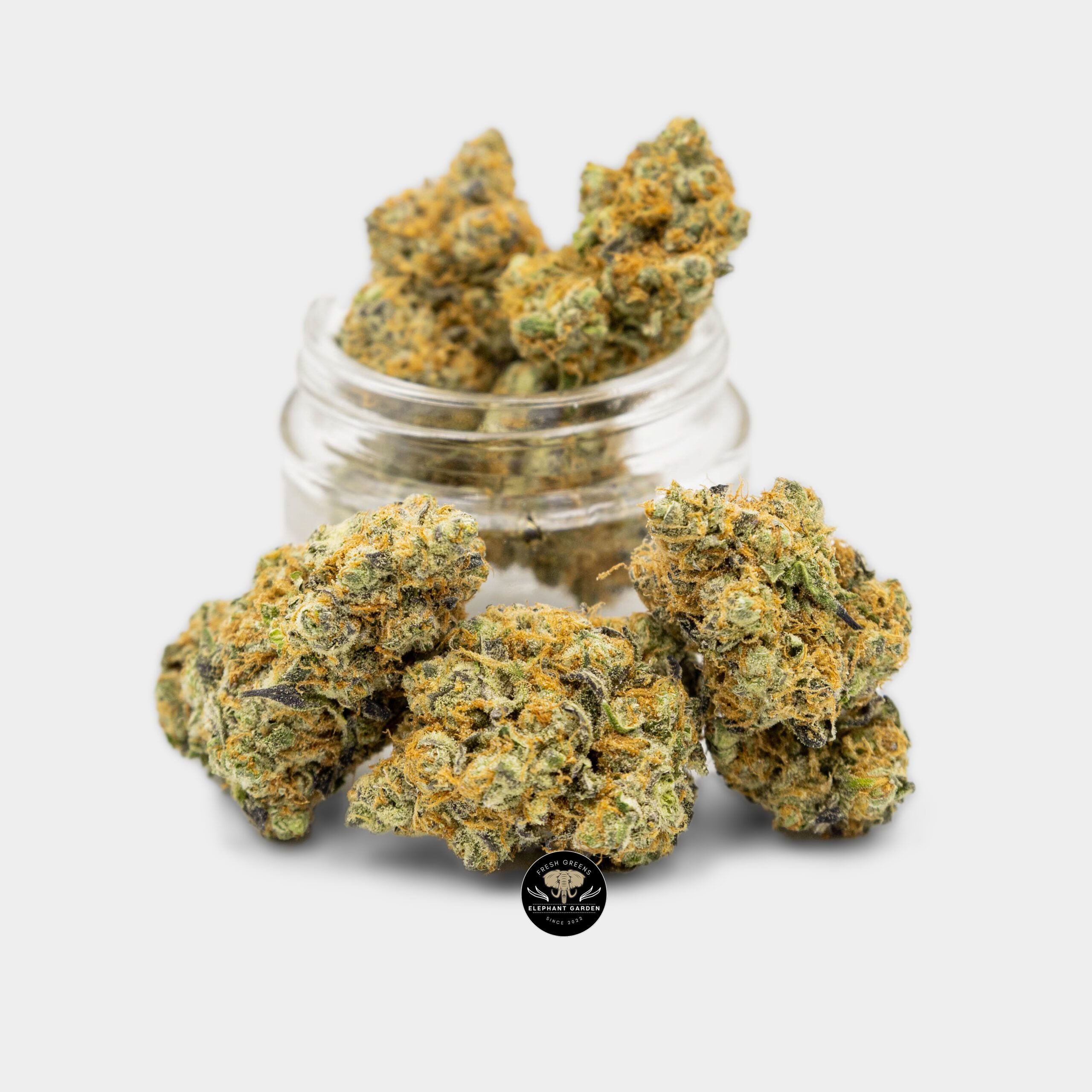 Garlic Breath - Hybrid - AAA