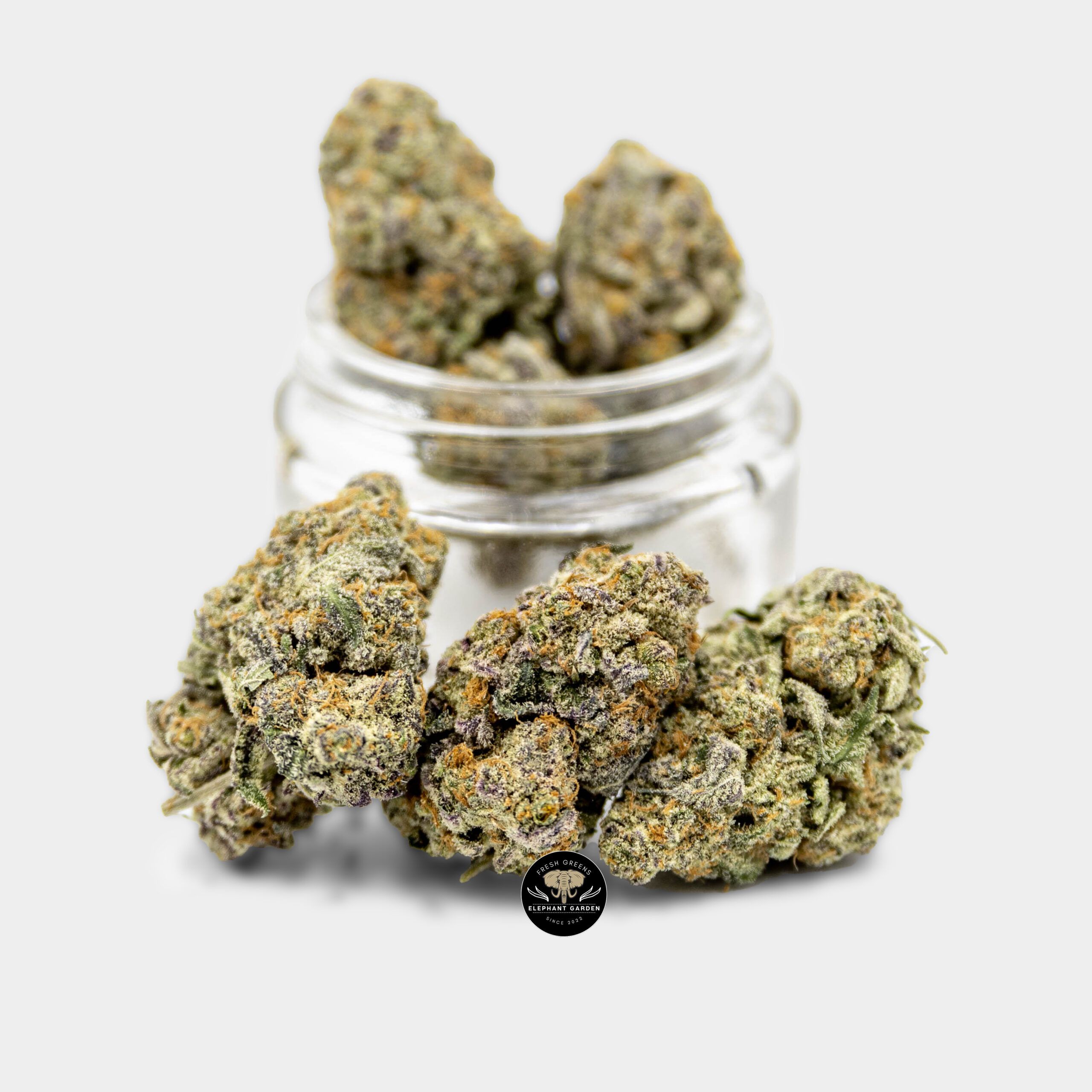 Gelato Cakes - Hybrid - AAA