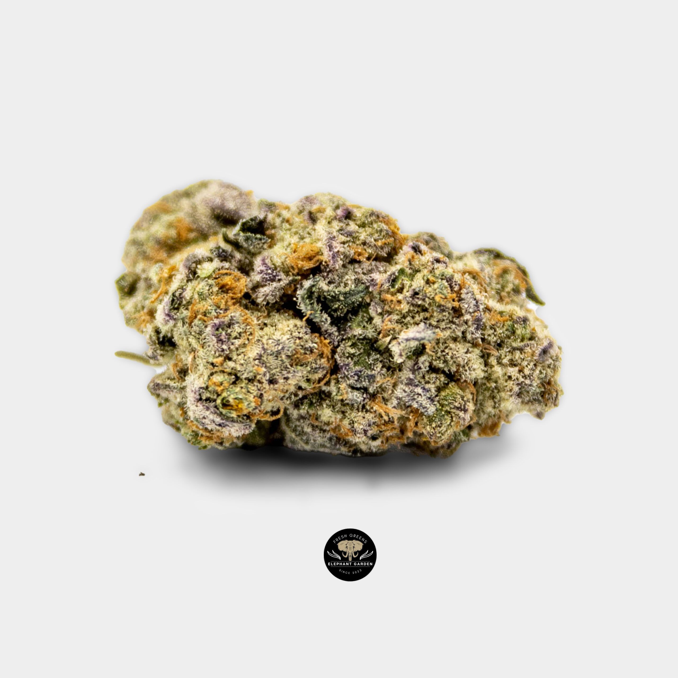 Gelato Cakes - Hybrid - AAA - Image 2