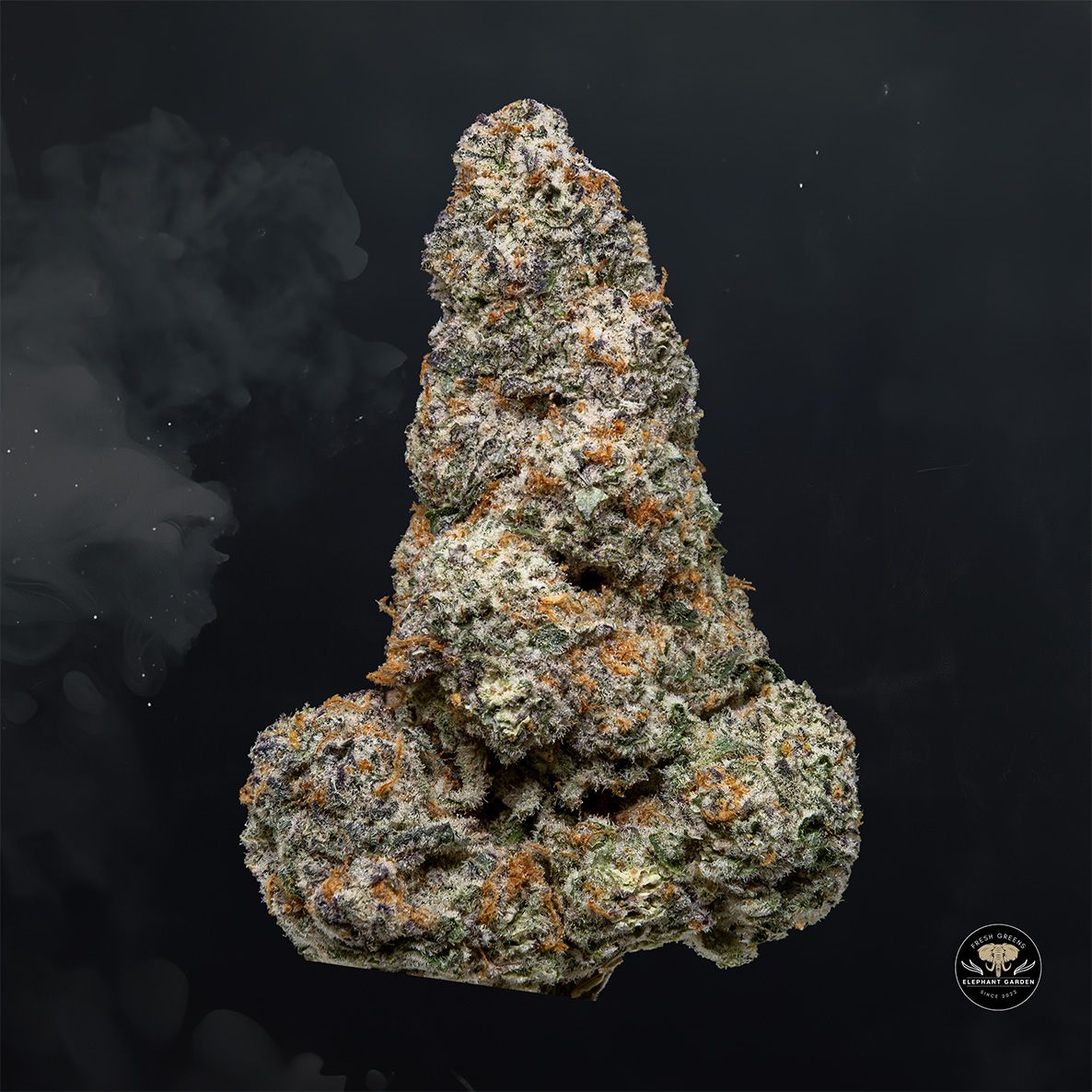 Buy Gouda Berry at Elephant Garden Co Weed Dispensary Float 5 15 25 2