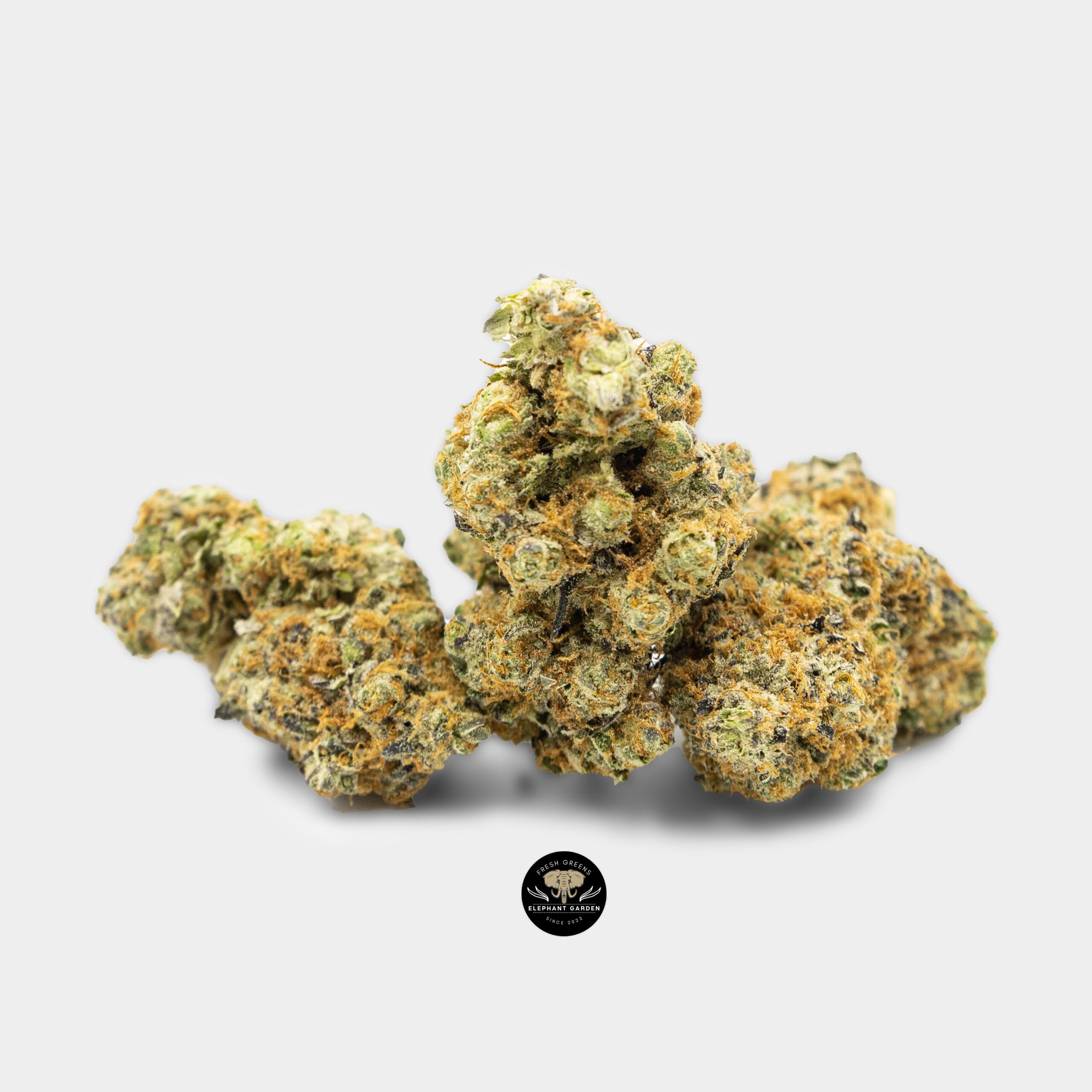 Puta Breath - Hybrid - Craft AAA+