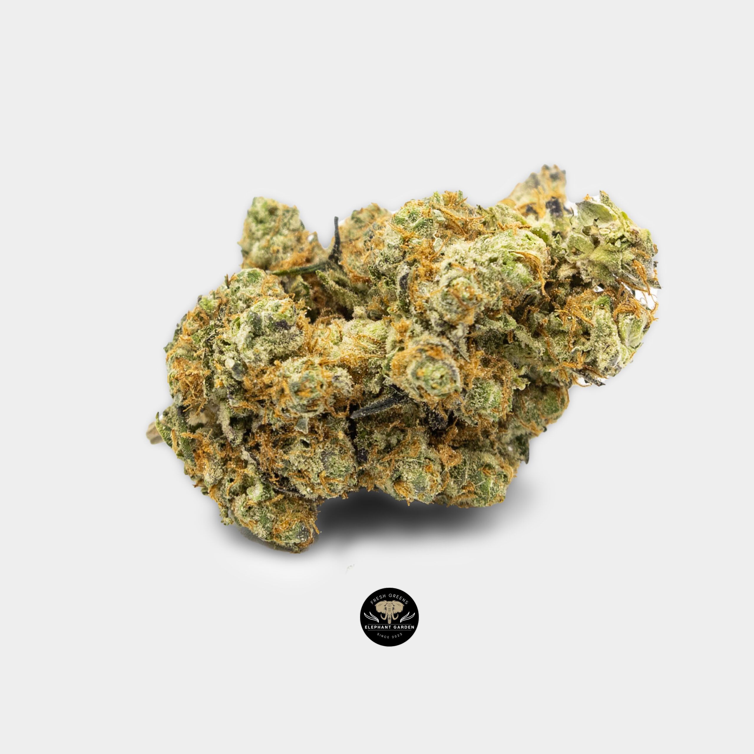 Puta Breath - Hybrid - Craft AAA+ - Image 2