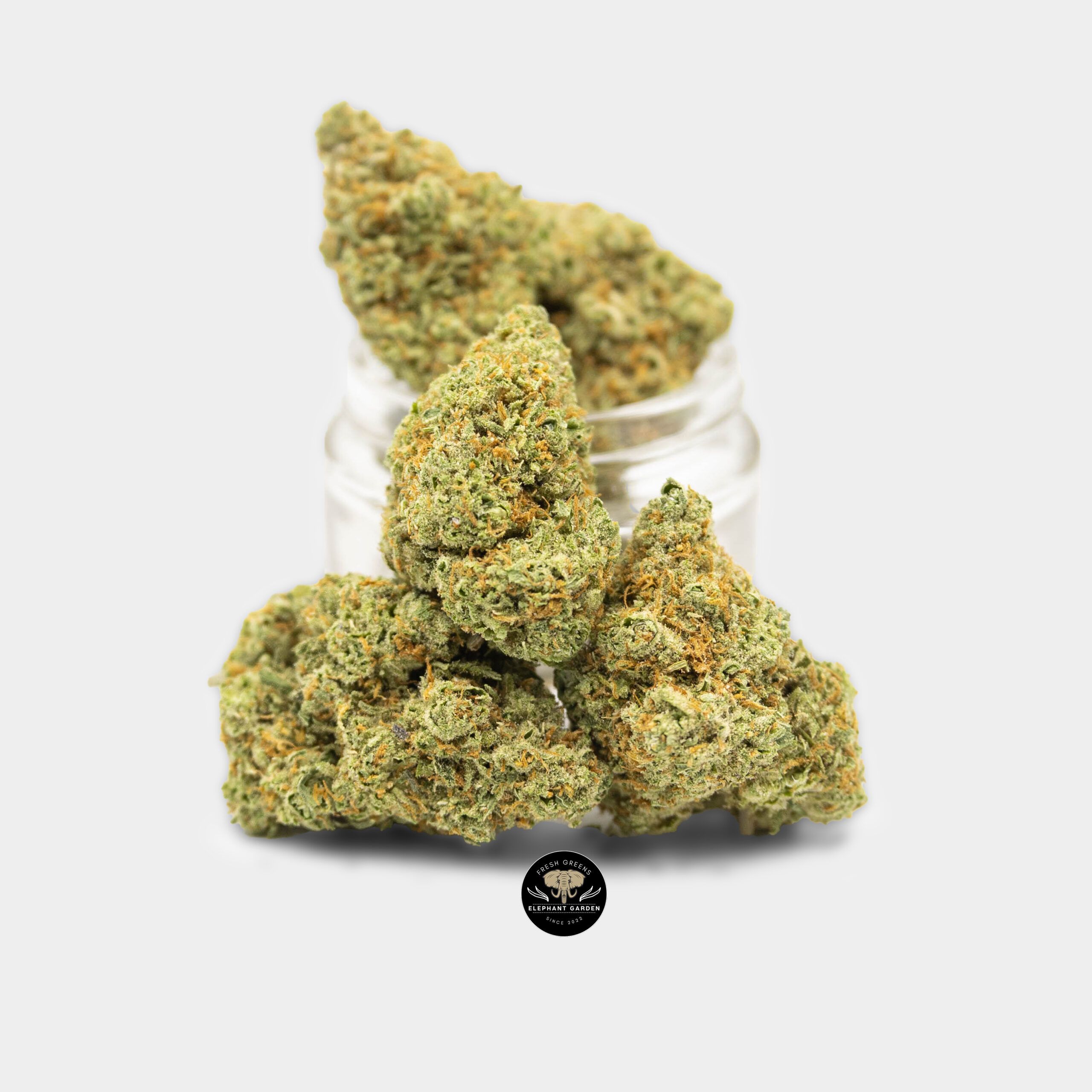 Strawberry Guava - Hybrid - Craft - AAA+