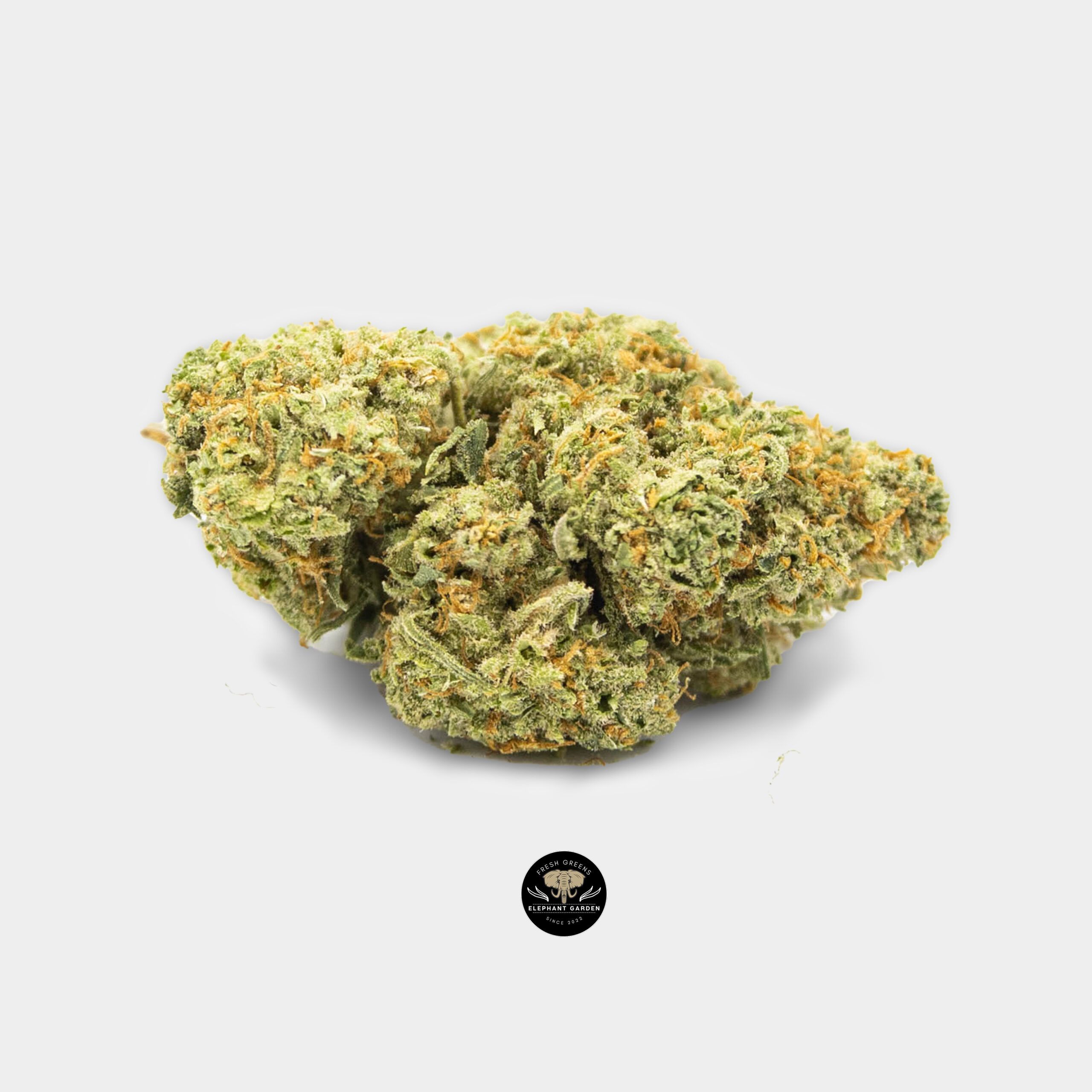 Strawberry Guava - Hybrid - Craft - AAA+ - Image 2