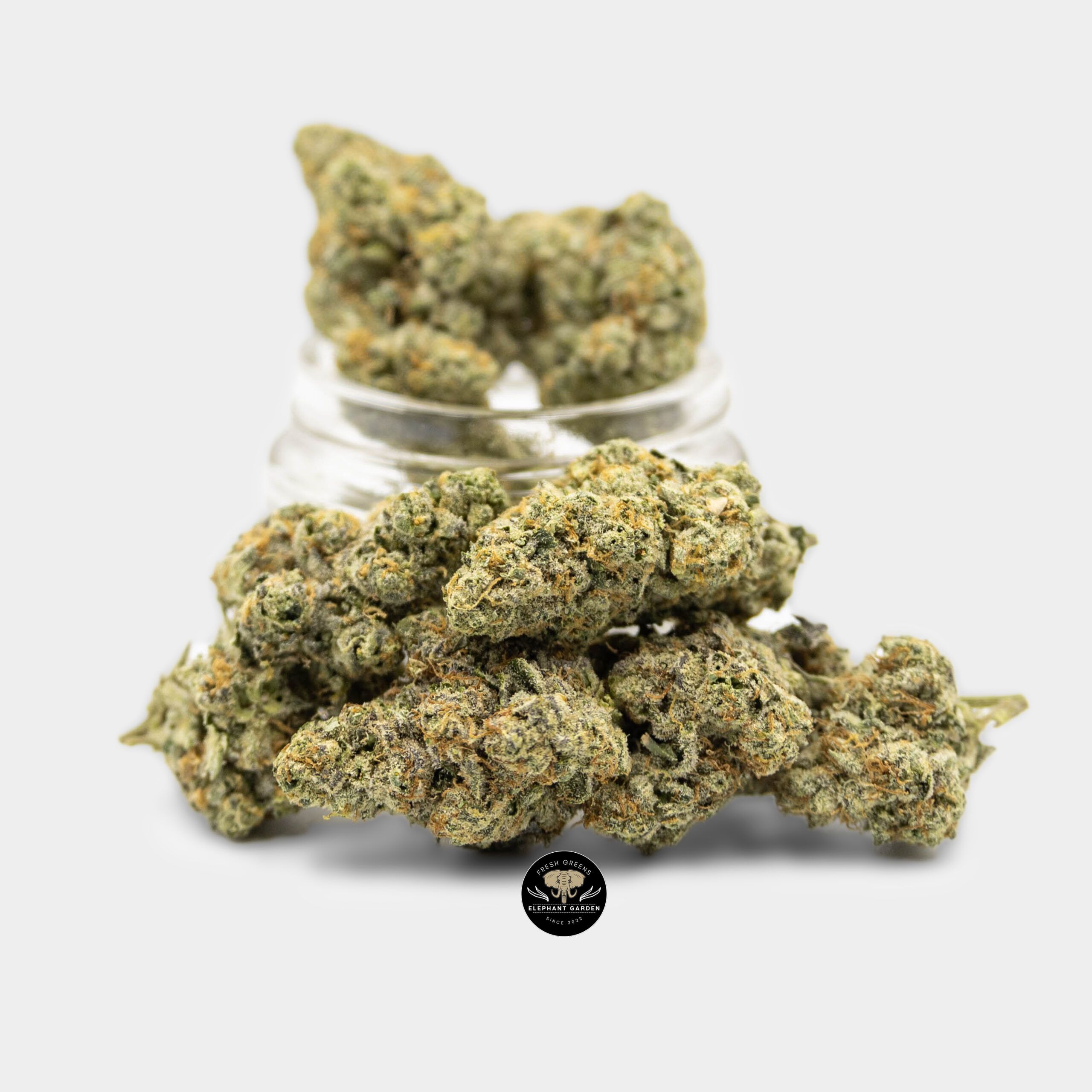 Vanilla Bean - Hybrid - AAA