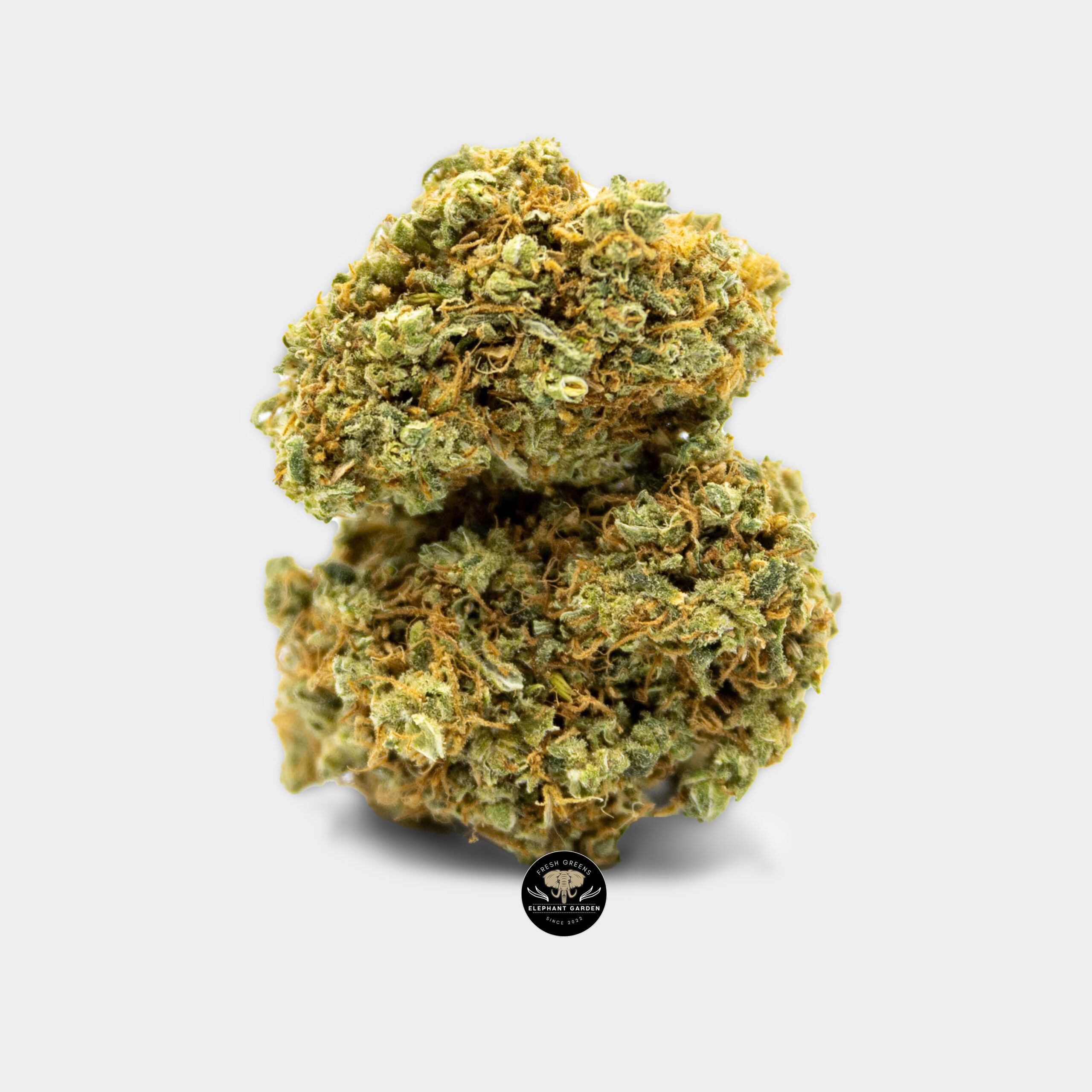 Buy Blue Dream at Elephant Garden Co Weed Dispensary Online Canada Bundle 5.19.2023