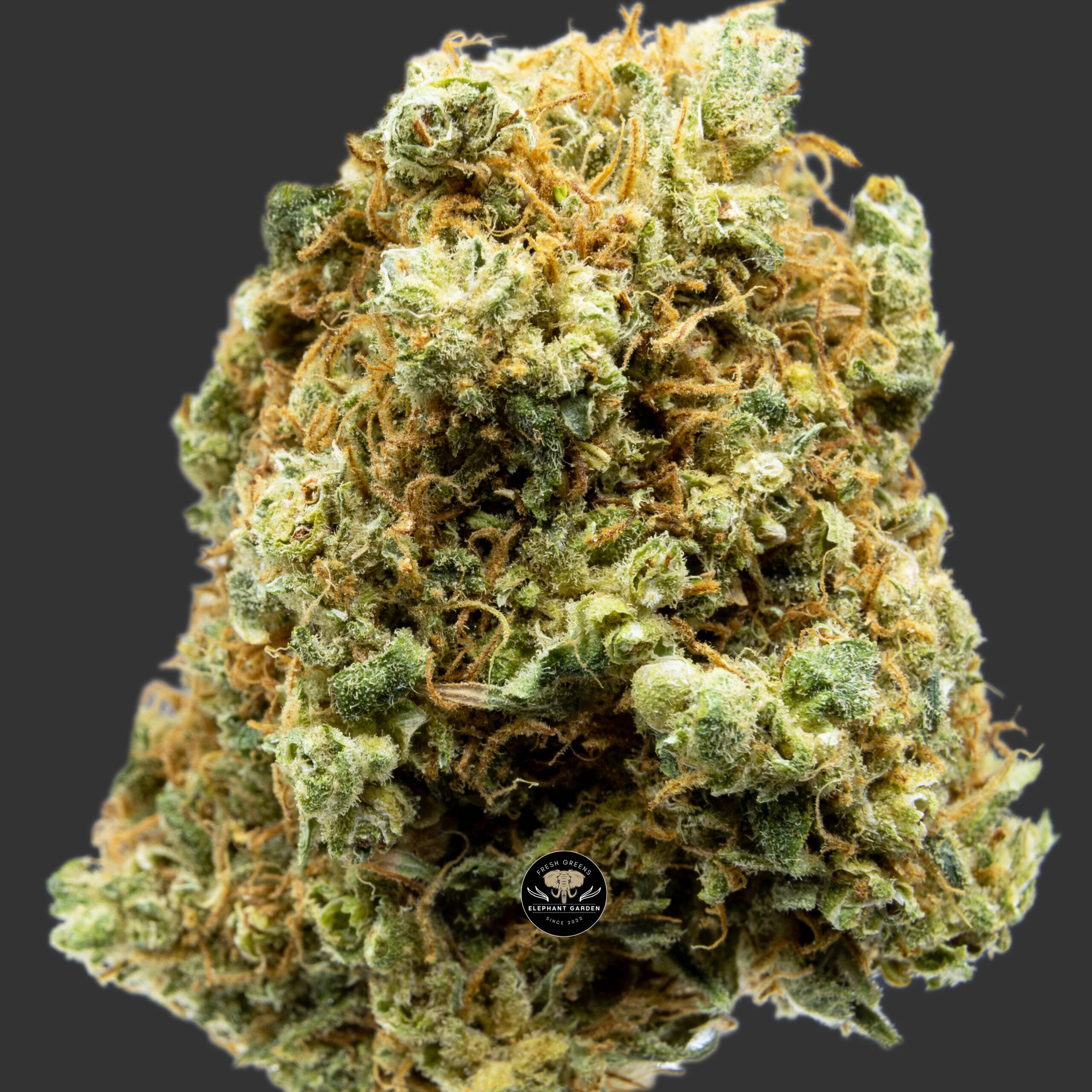 Buy Blue Dream at Elephant Garden Co Weed Dispensary Online Canada Close