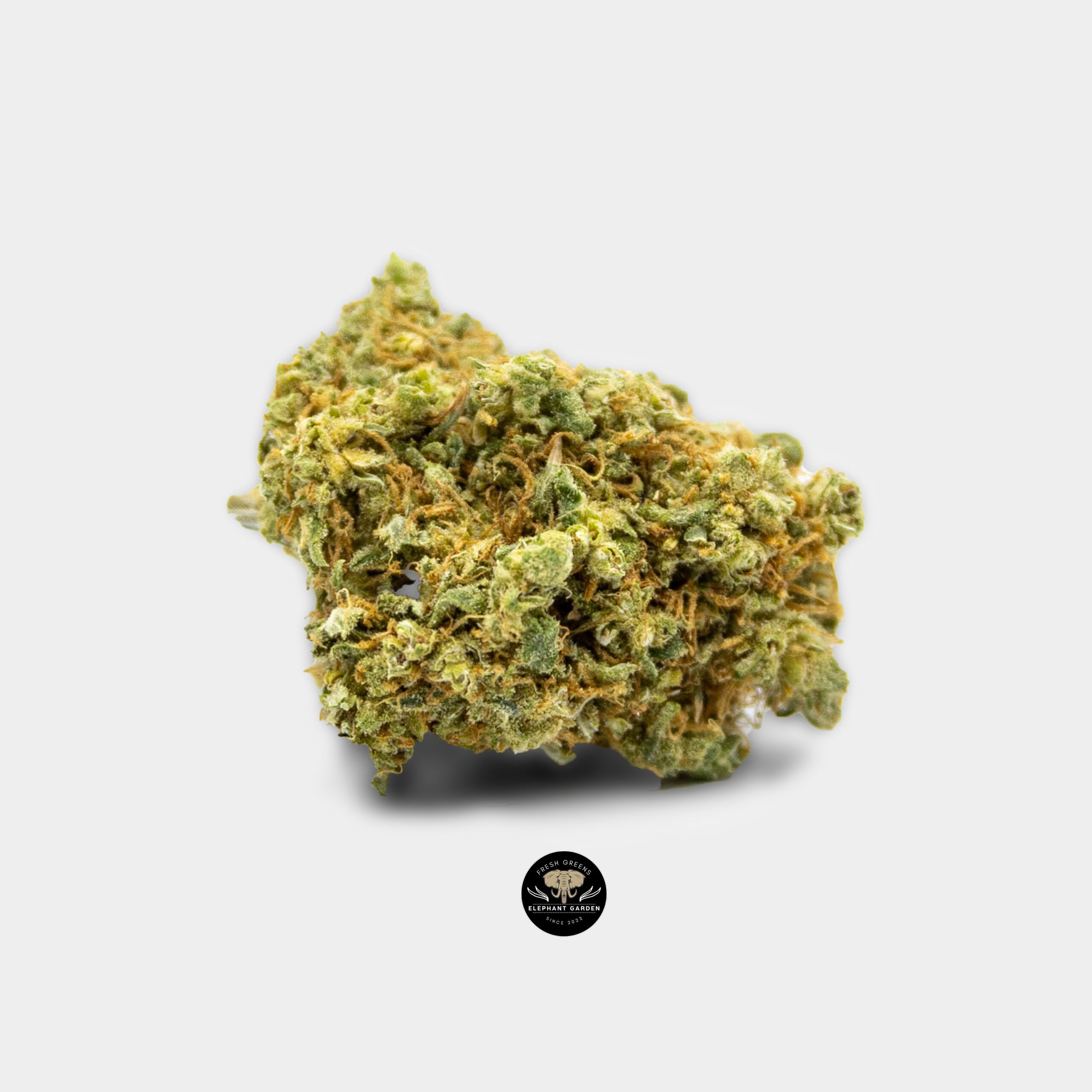 Buy Blue Dream at Elephant Garden Co Weed Dispensary Online Canada Single 5.19.2023