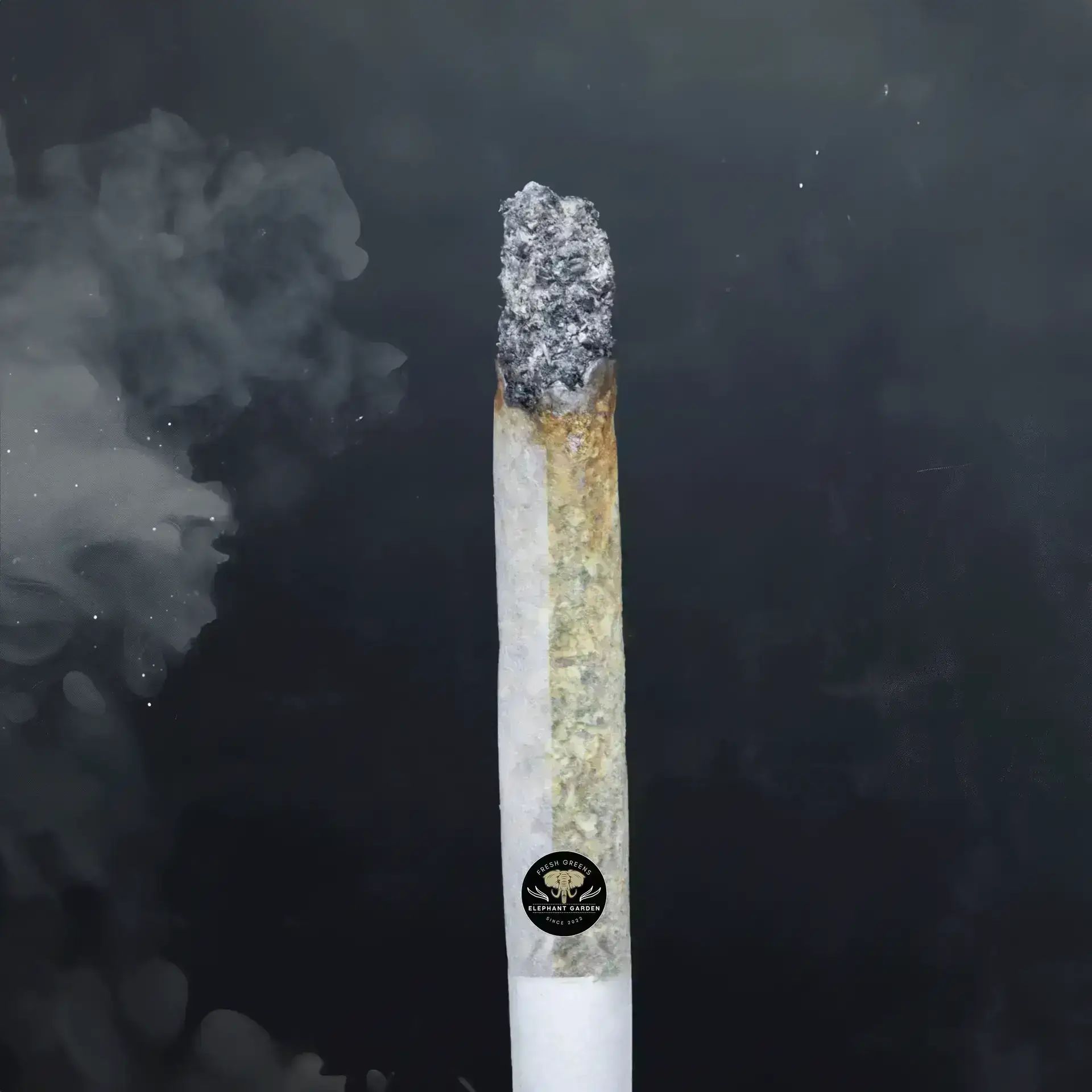 Buy Starwalker at Elephant Garden Co Weed Dispensary Burn Test 8 7 2024 2