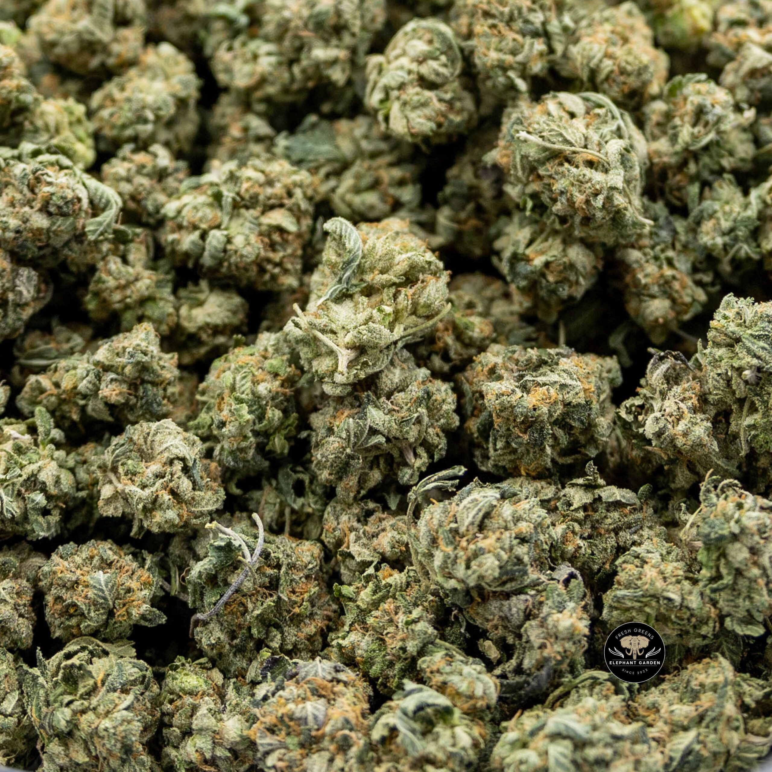 Buy Pink Kush at Elephant Garden Co Weed Dispensary Online Canada Bundle